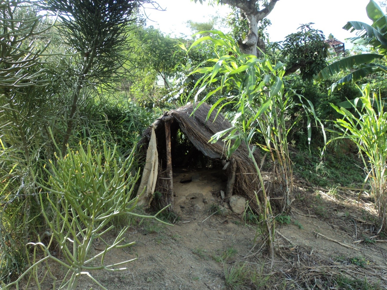 Existing Shallow Pit in Lamielle, Haiti