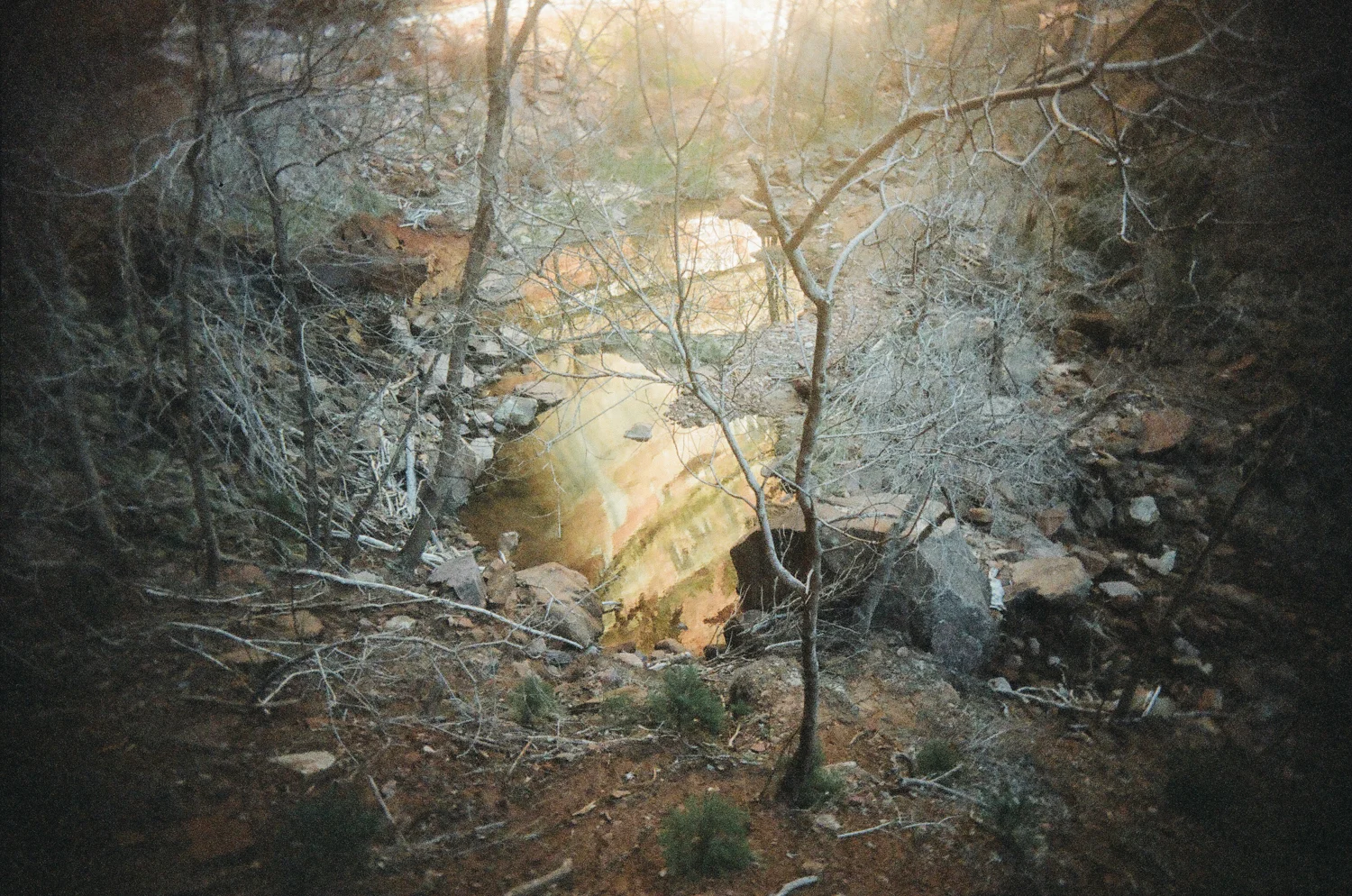 0011_10.jpg