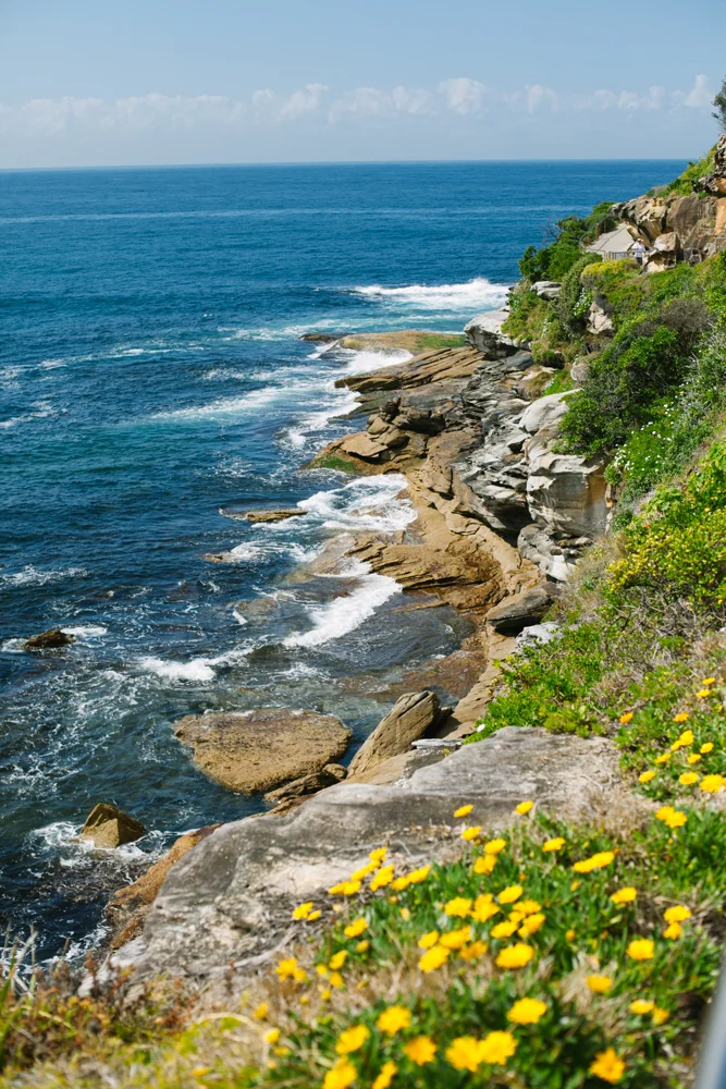 _MG_2880.jpg
