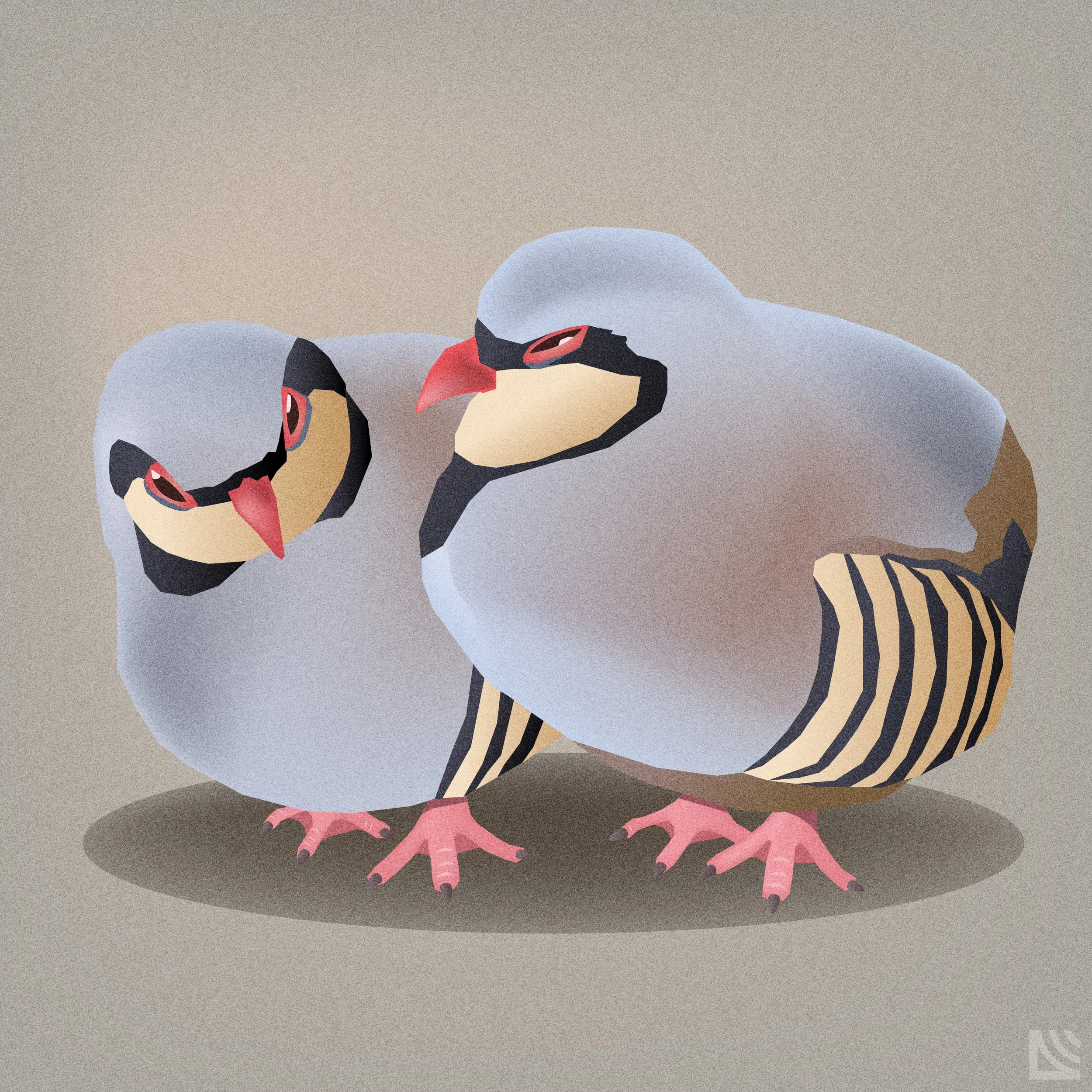 Chukar Partridges.jpg