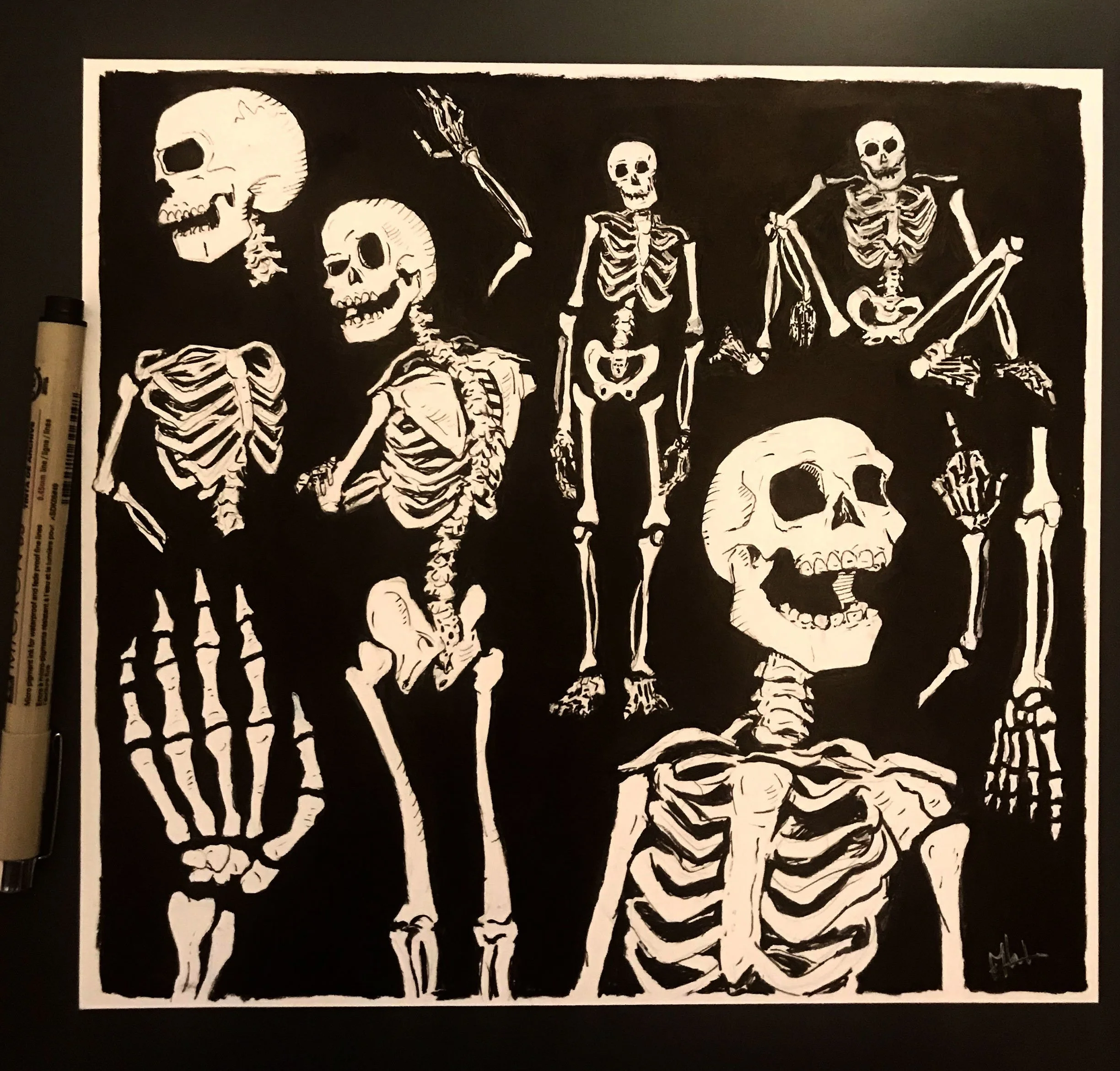 Collection of white skull and skeleton illustrations on black background, featuring multiple skulls, full skeletons, and skeletal hand and foot details.