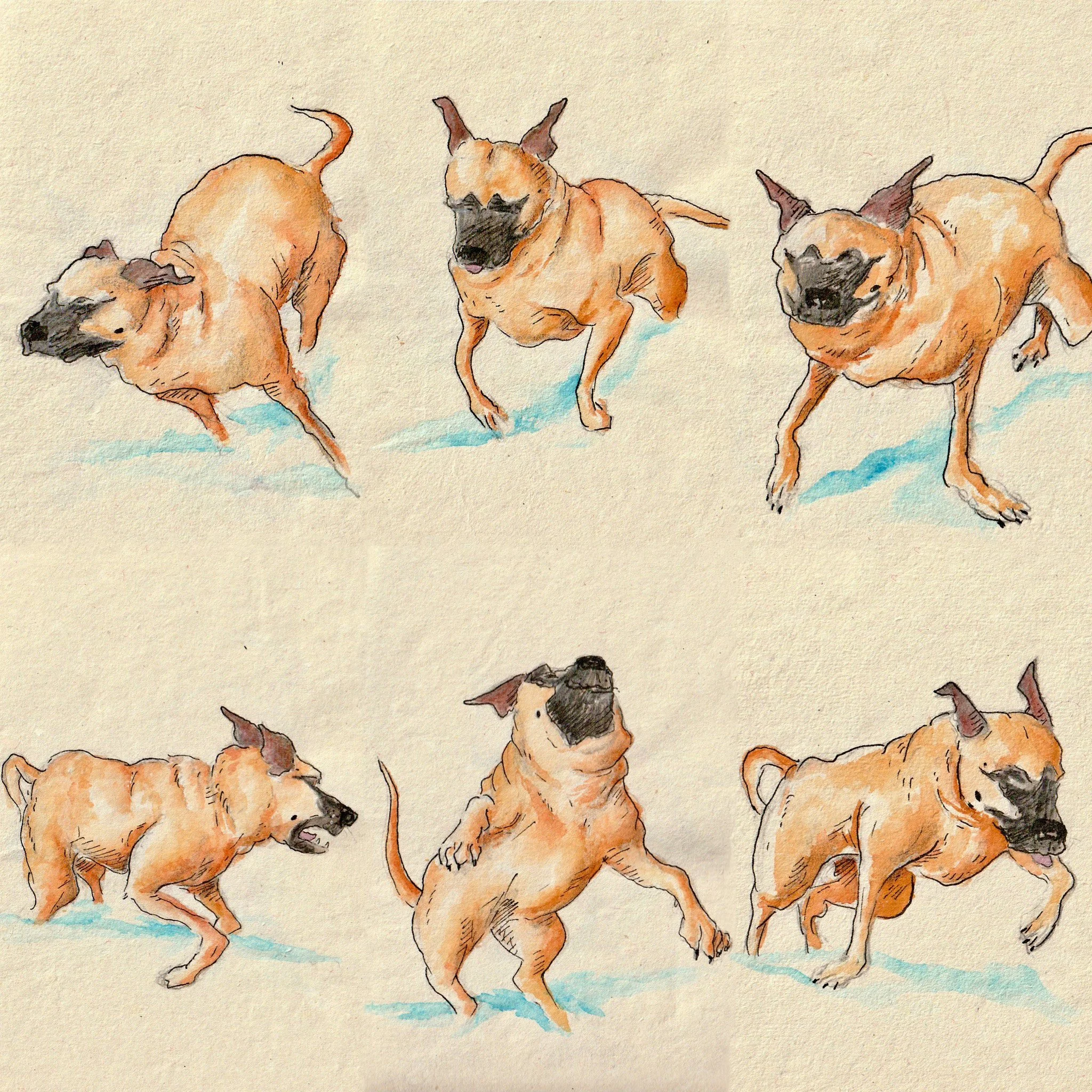 Tenzin Snow 2026.JPG