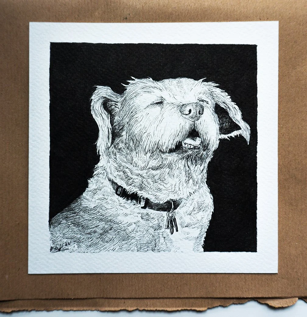 Cody-Dog-Portrait.jpg