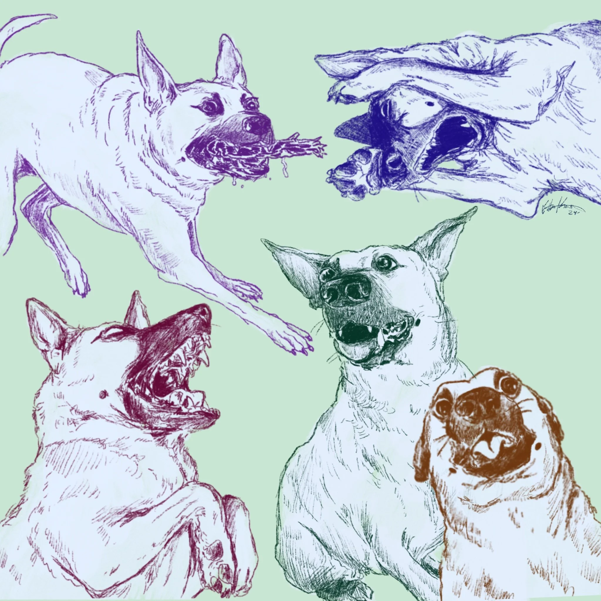 Tenzin_5 Year Birthday Boy.JPG