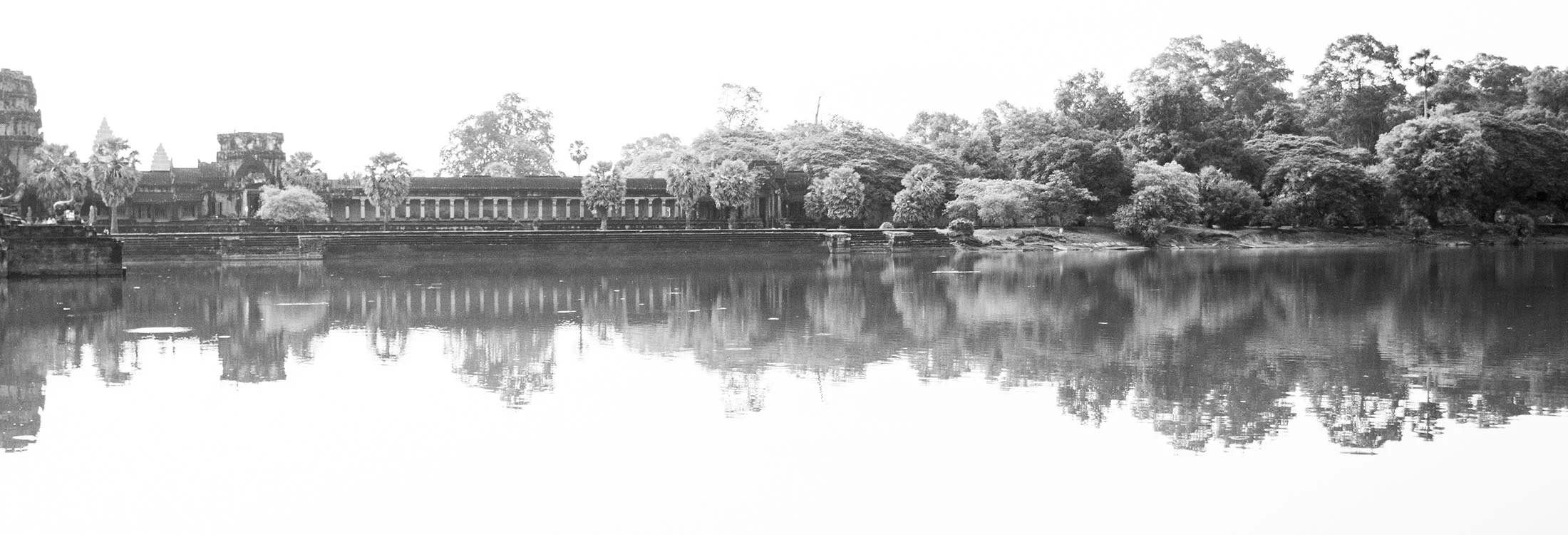 _mg_8695 copy.jpg