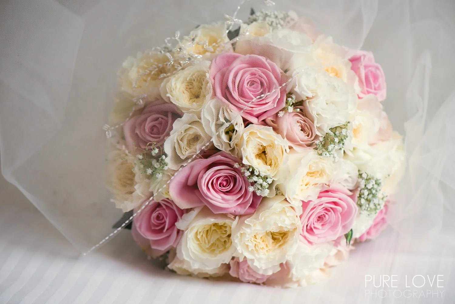 Auckland Wedding Photographer