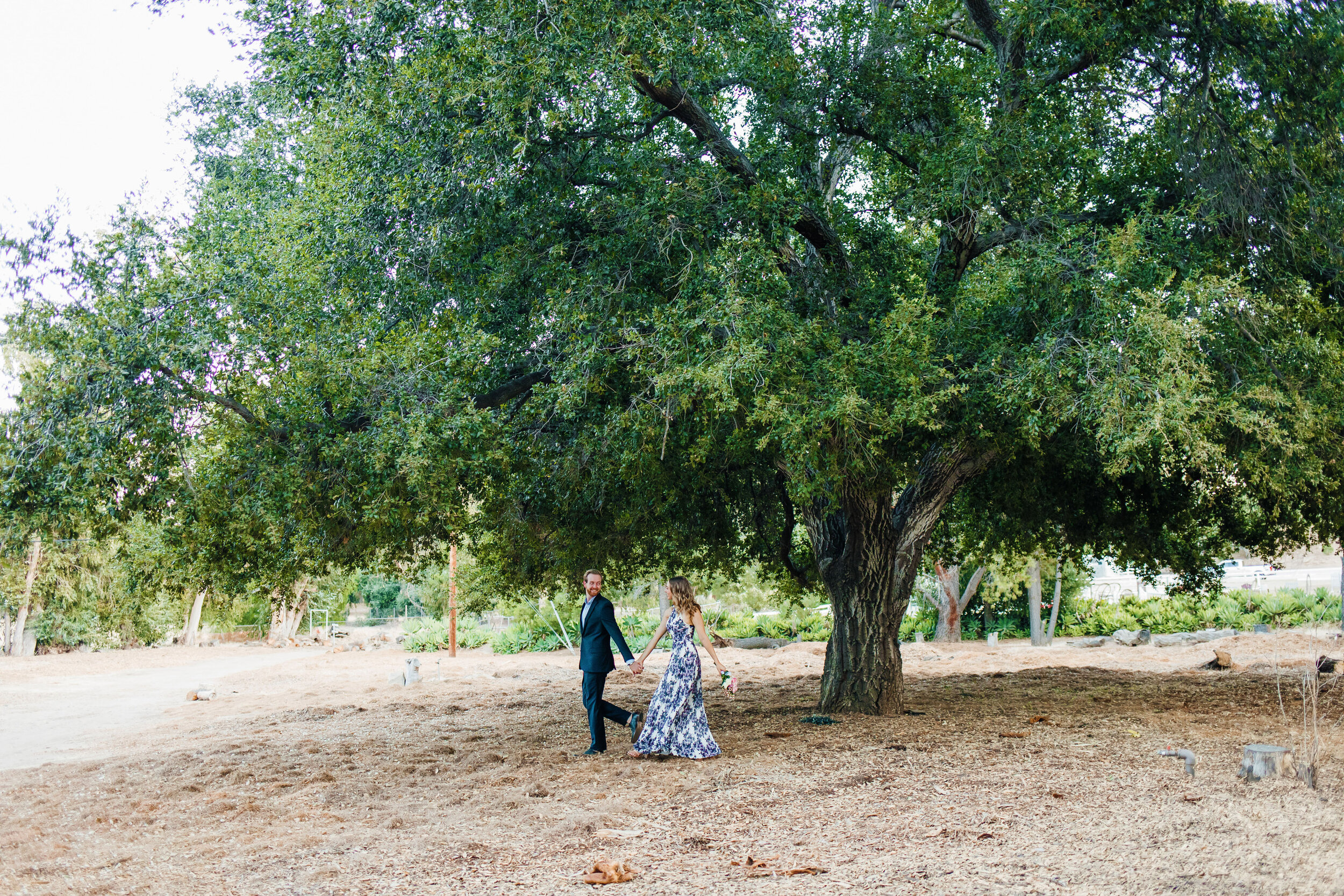 bride n groom under big oak - small.jpg