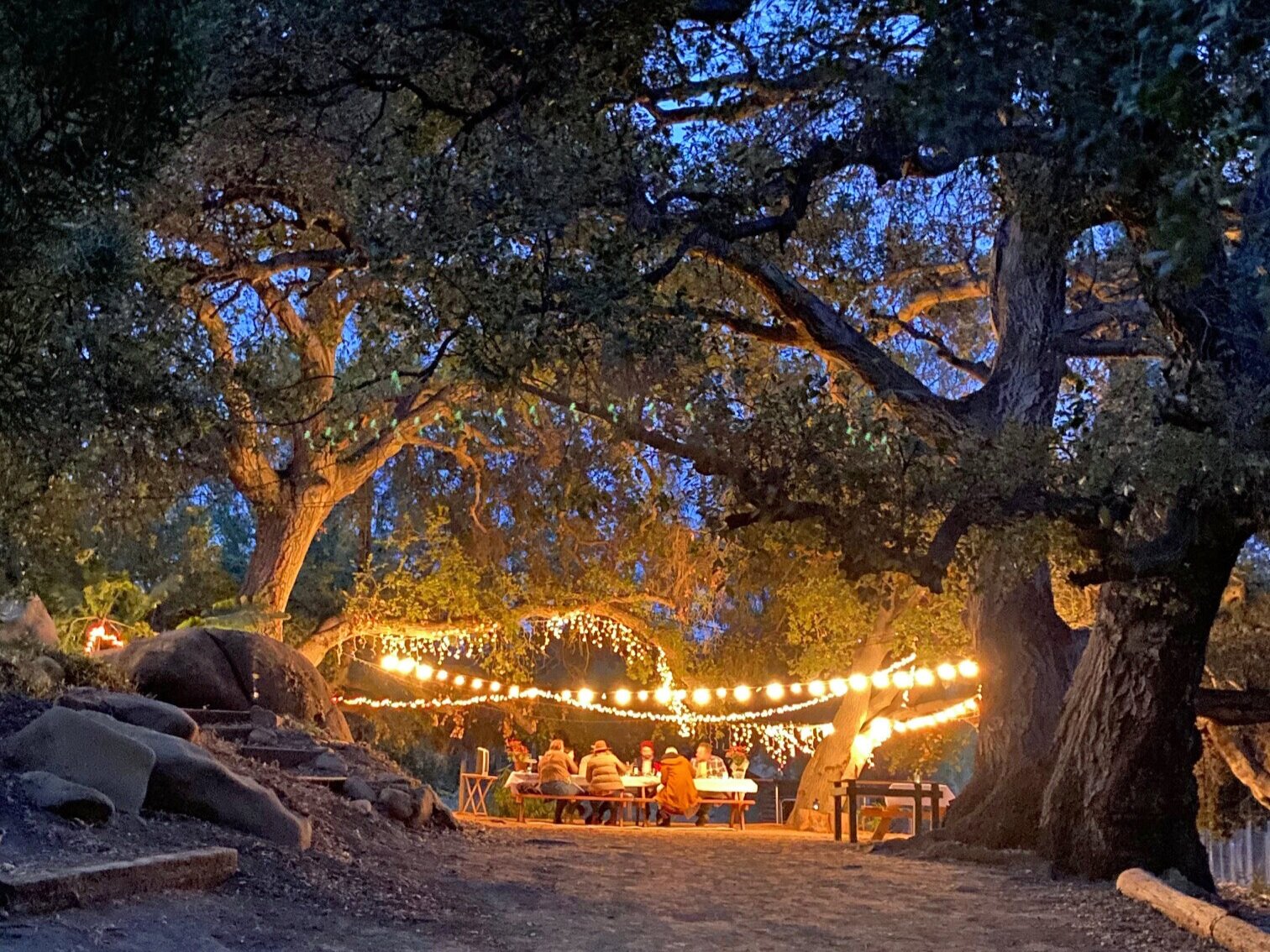 Dinner+under+oaks+2.jpg