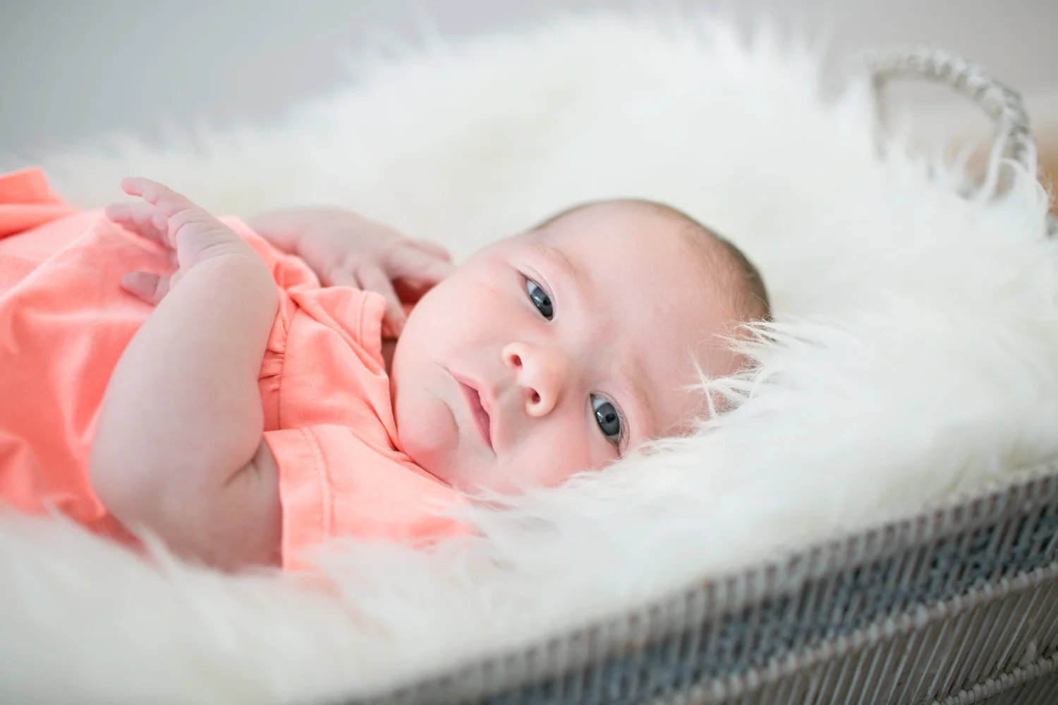 Zara newborn LR-5.jpg