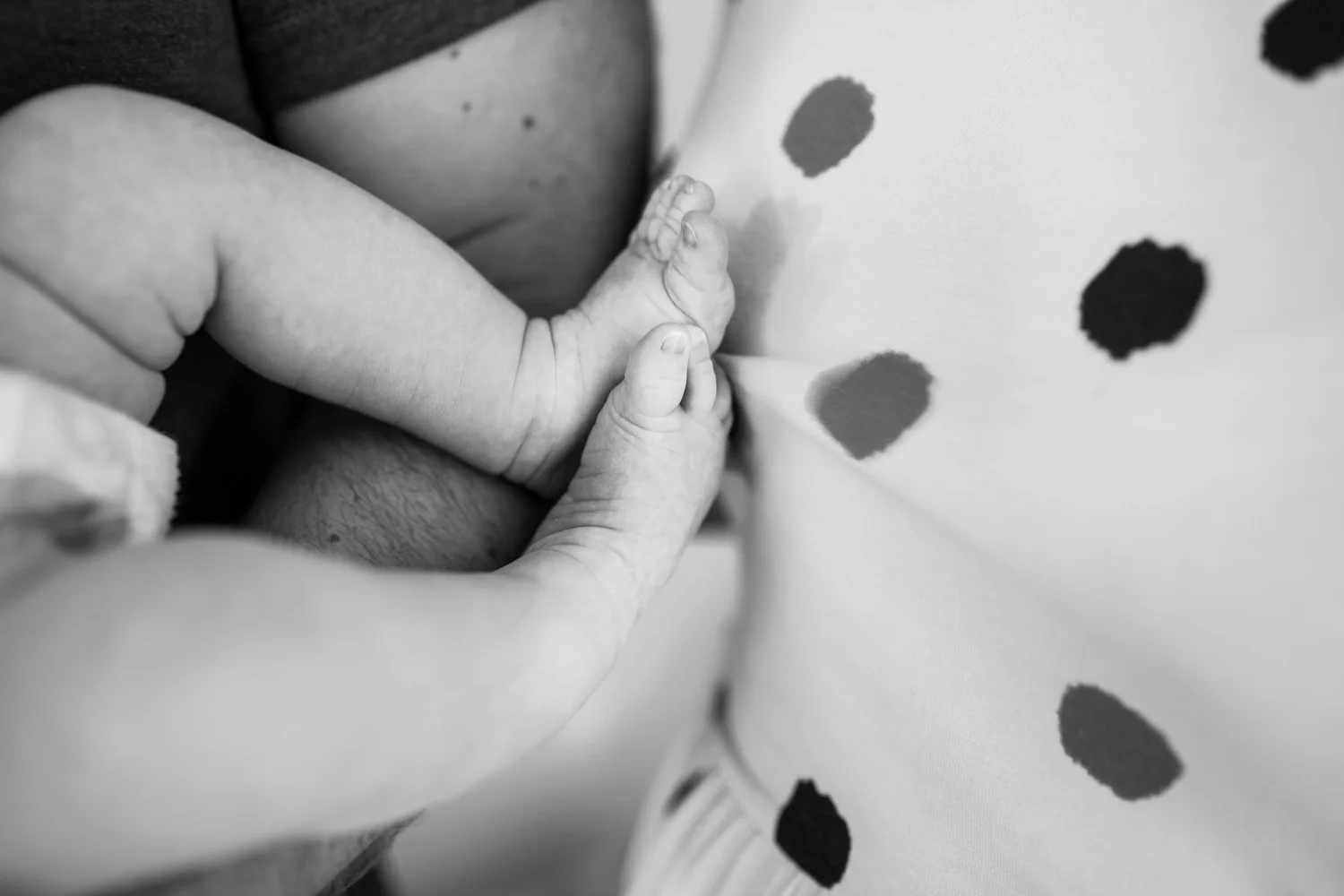 Zara newborn LR-169.jpg
