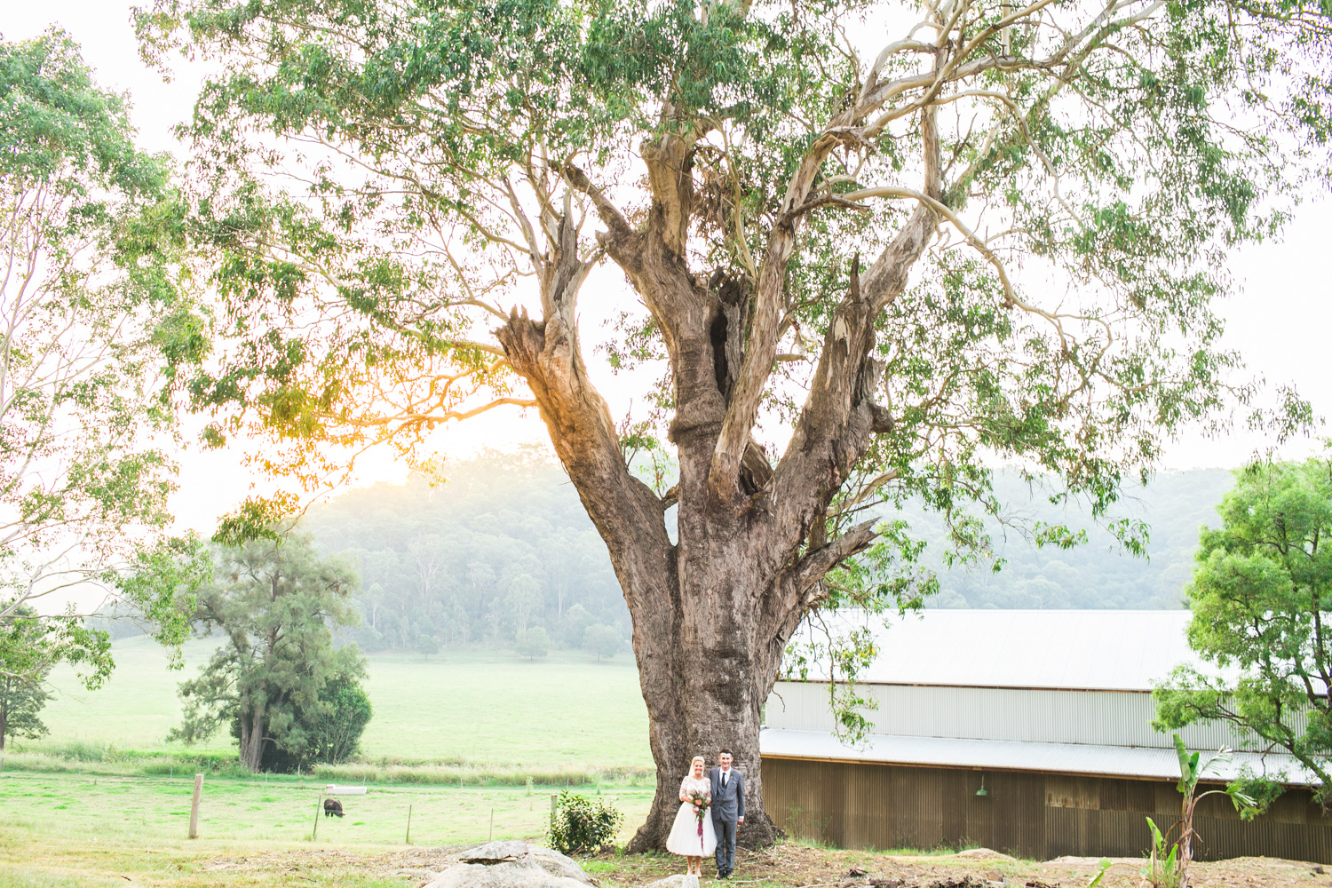 Kate and Dale wedding -1335.jpg