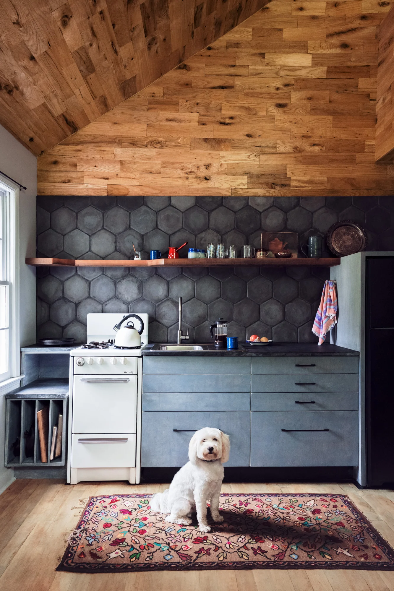  Photographer Tara Donne&nbsp; 