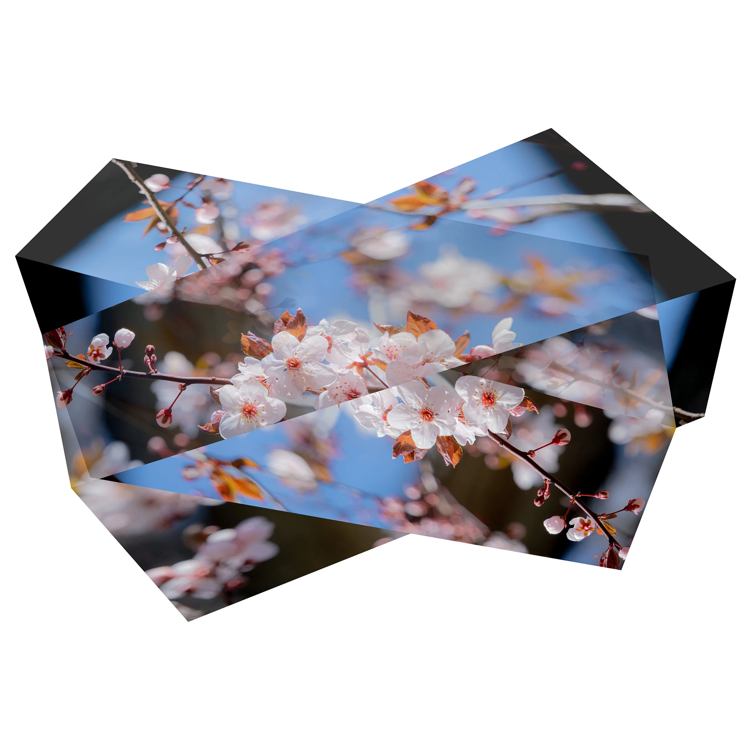  Untitled (April 14, 2020 12:59 PM), 2021  Digital C-Print Face Mounted to Shaped Acrylic  20” x 29” x 1”  Edition of 3  Numerous artists and individuals have experienced a “Covid” period, characterized by stories, images, or artistic output that ser