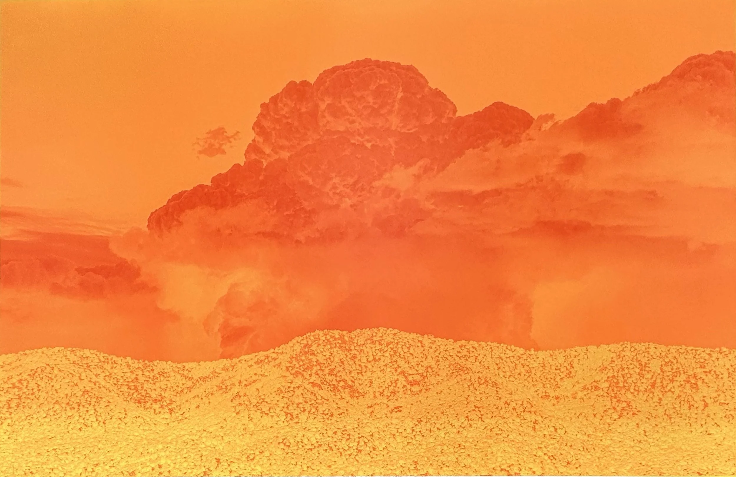  Disaster #8  Silkscreen on Canvas   58 × 90 inches 
