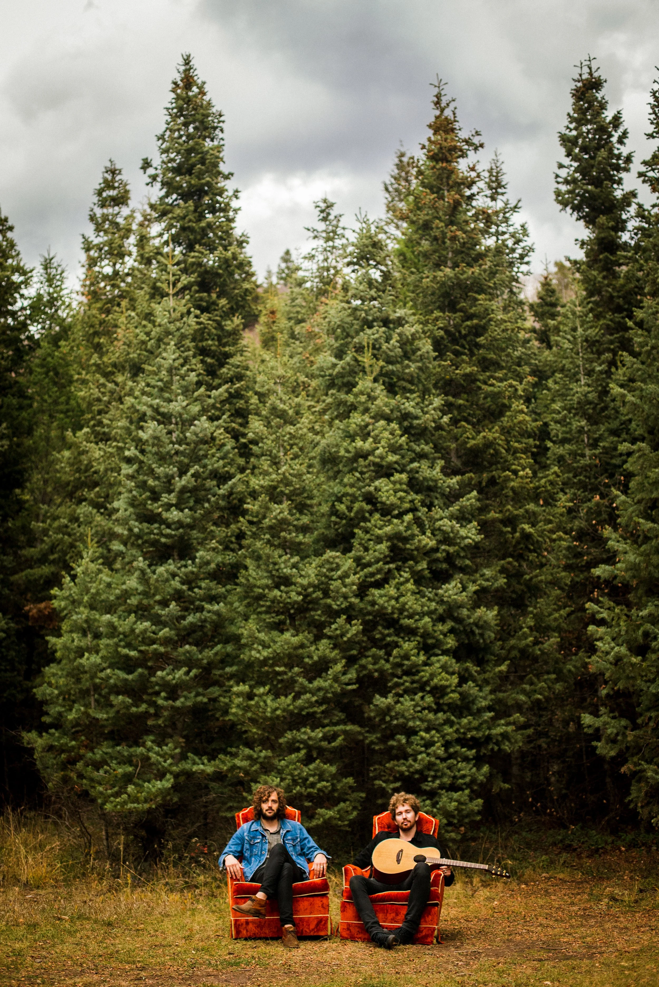 moth_trees_portrait.jpg