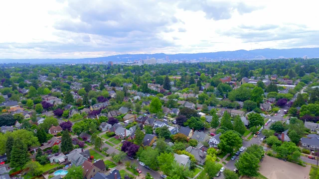 DJI_0010.jpg