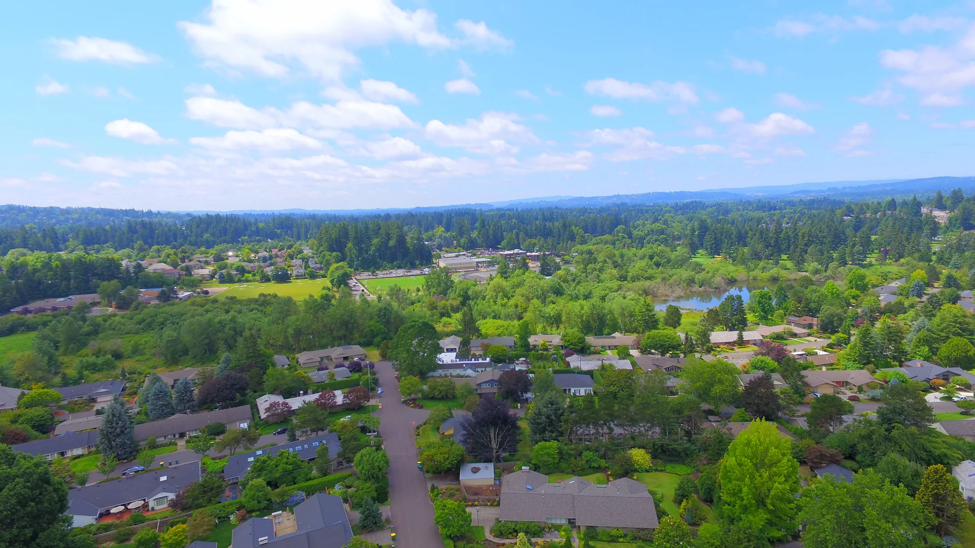 DJI_0004.jpg