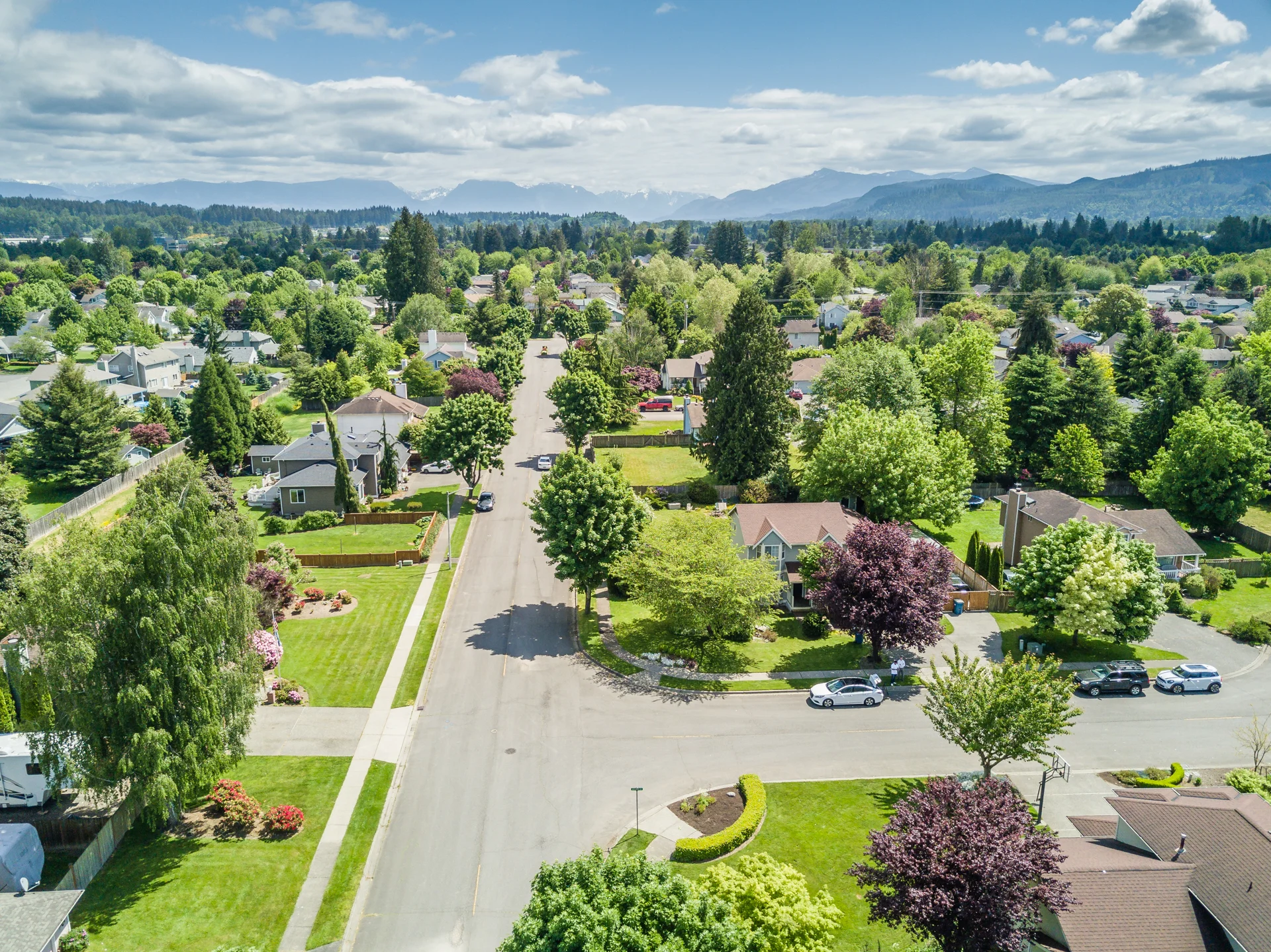 DJI_0018.jpg