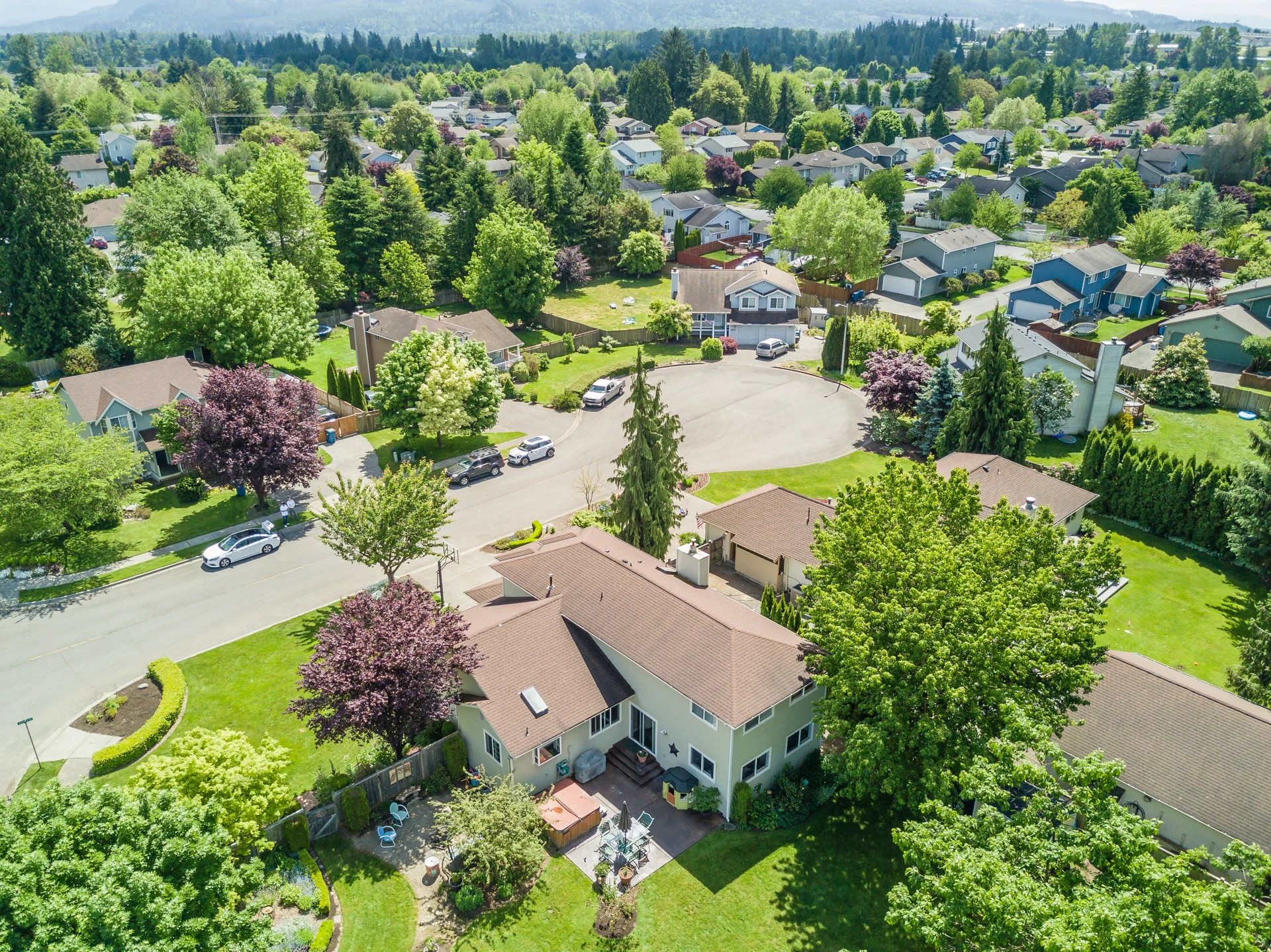 DJI_0017.jpg