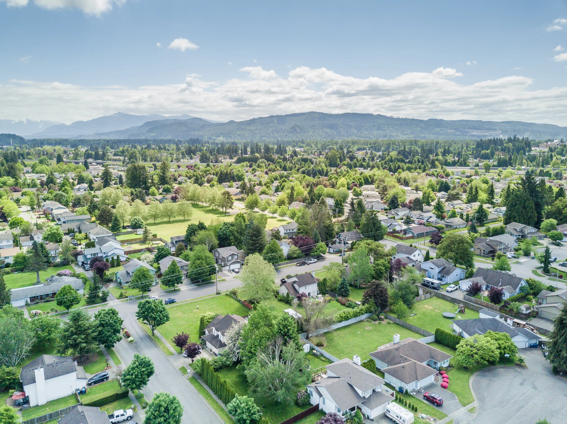 DJI_0006.jpg