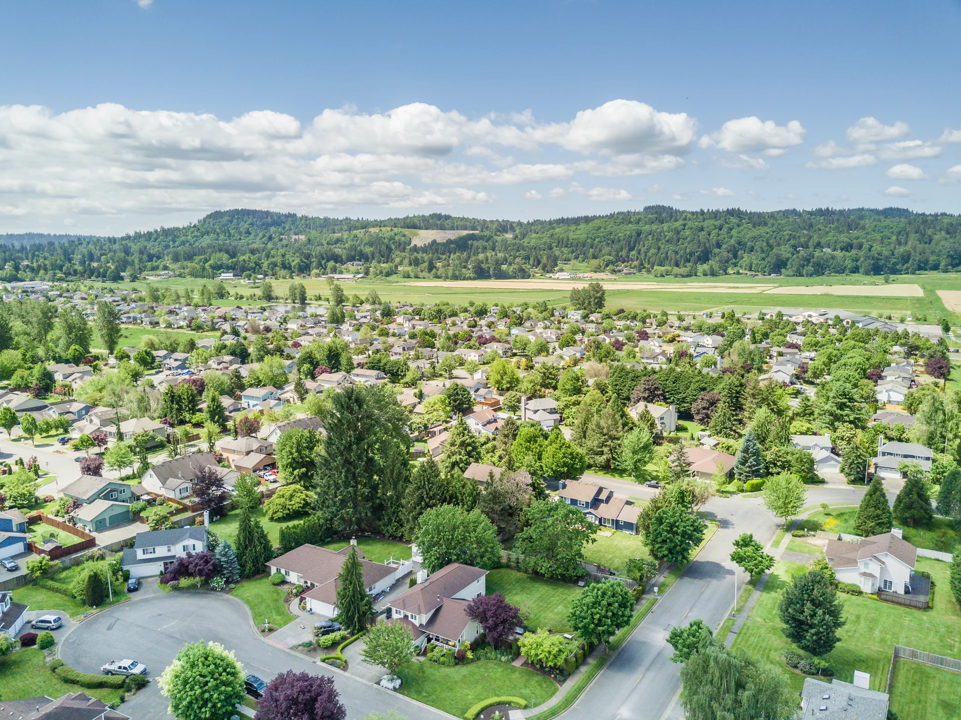 DJI_0005.jpg
