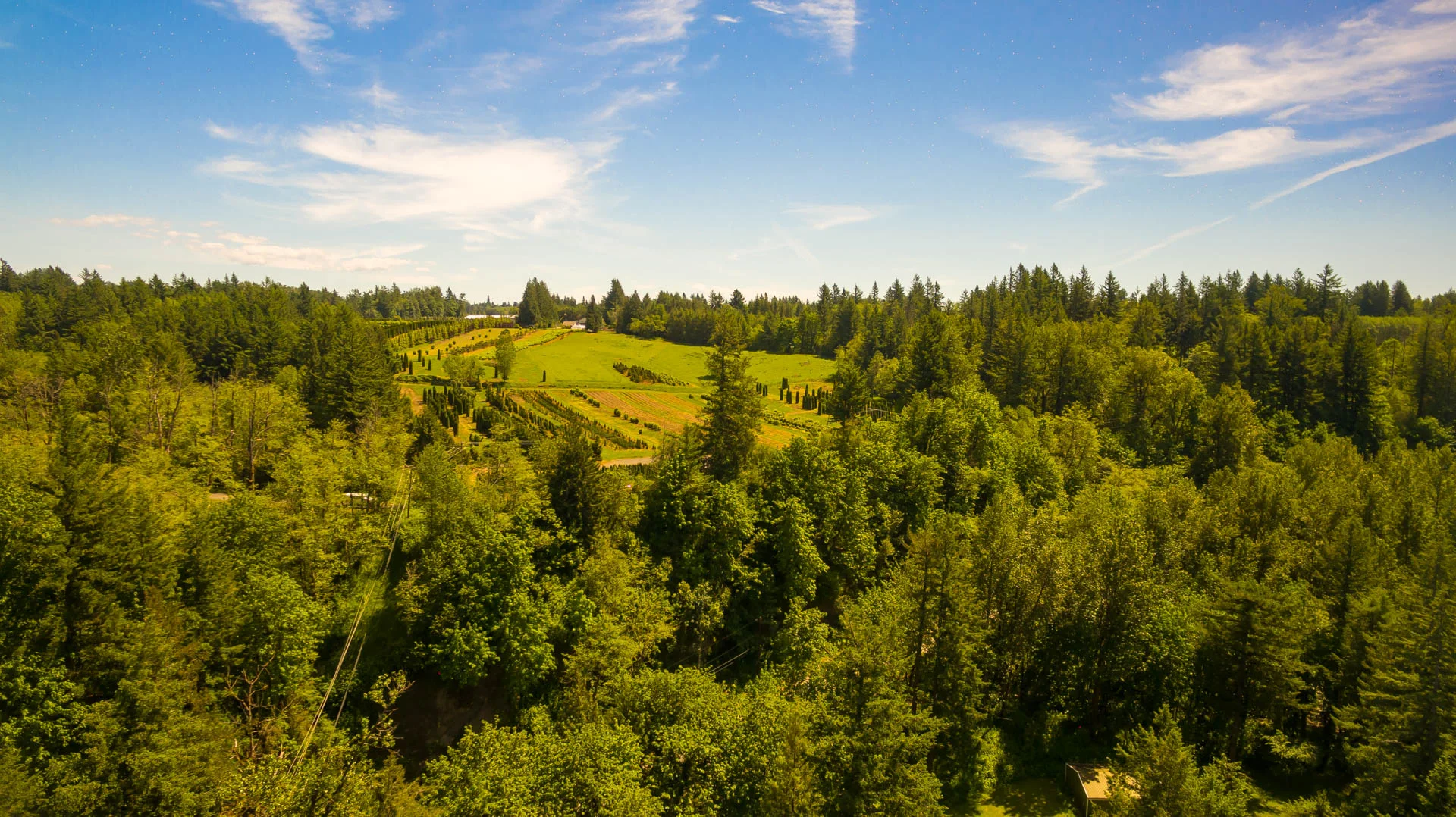 DJI_0028.jpg