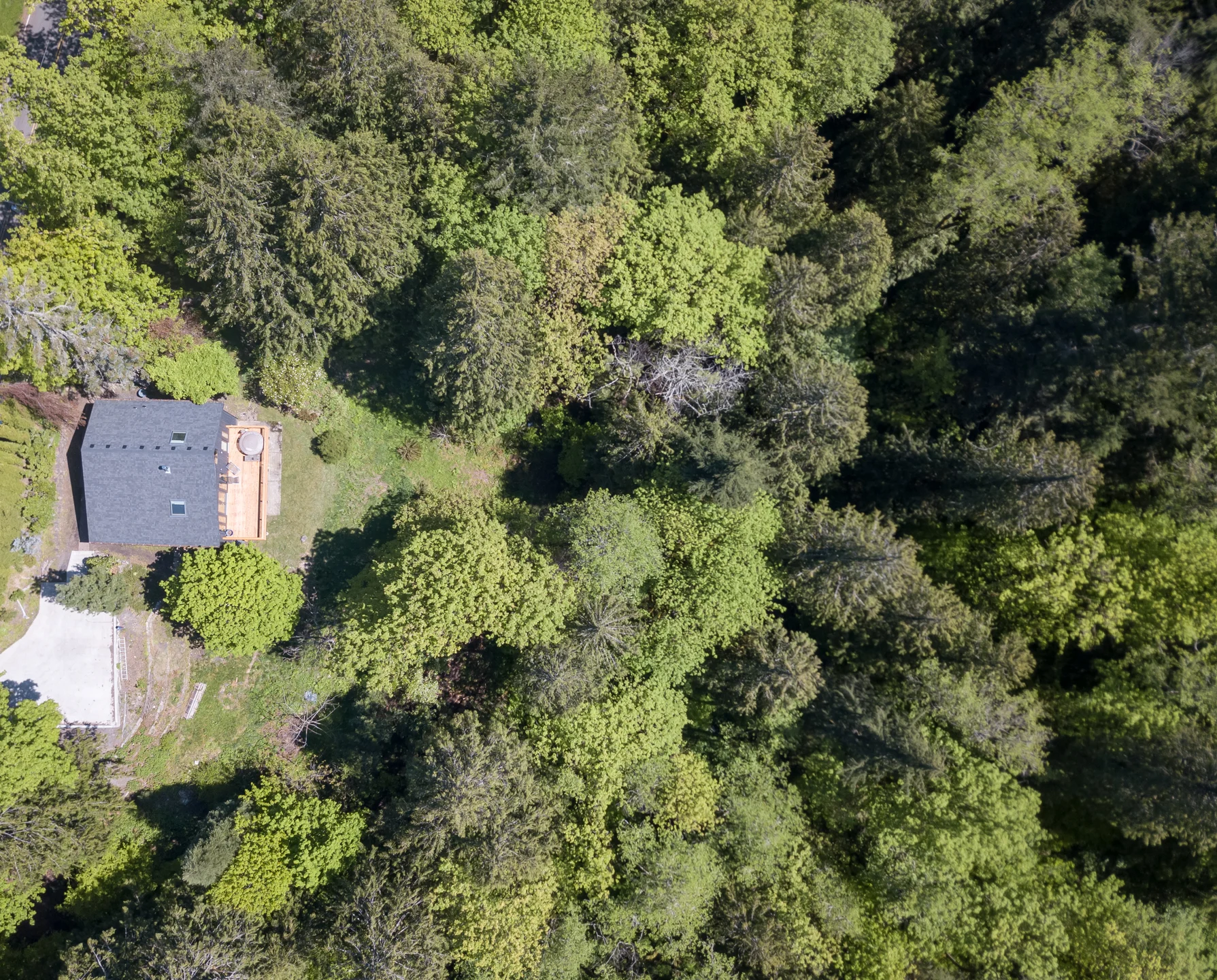 DJI_0067-HDR.jpg