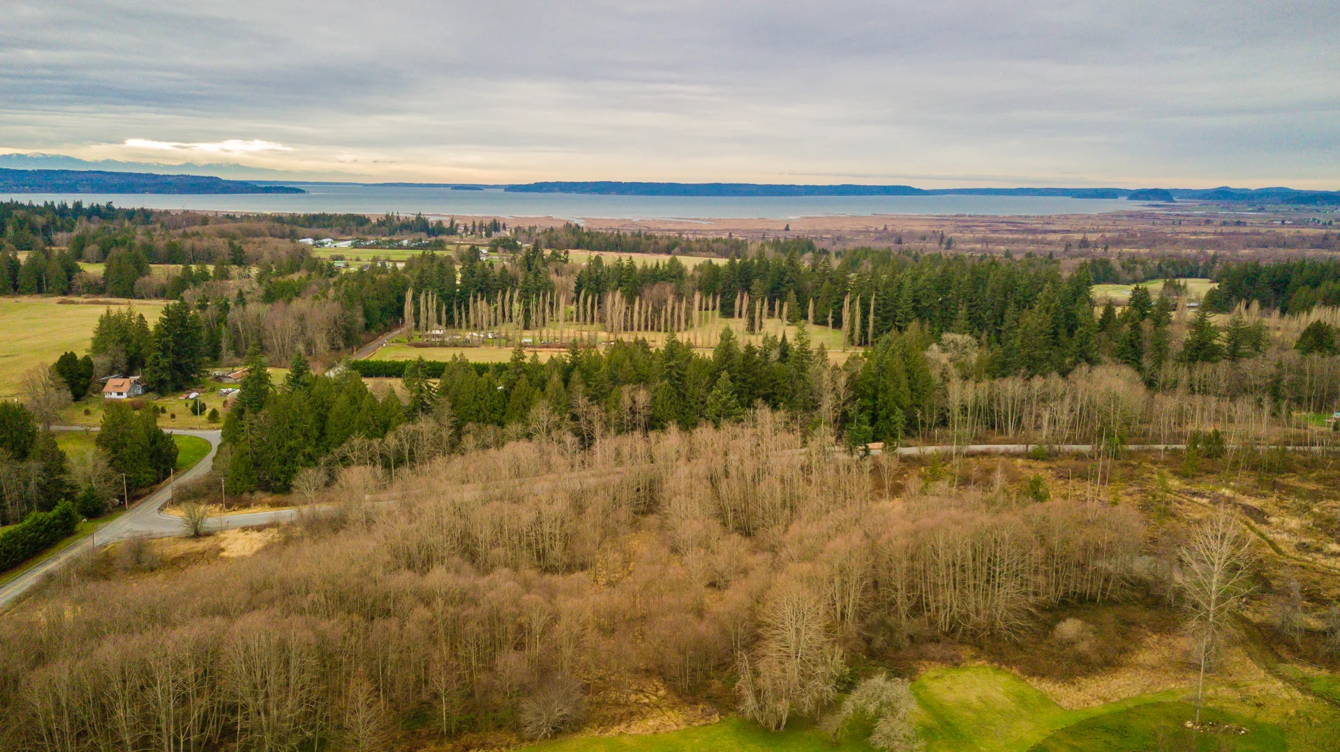 DJI_0078.jpg