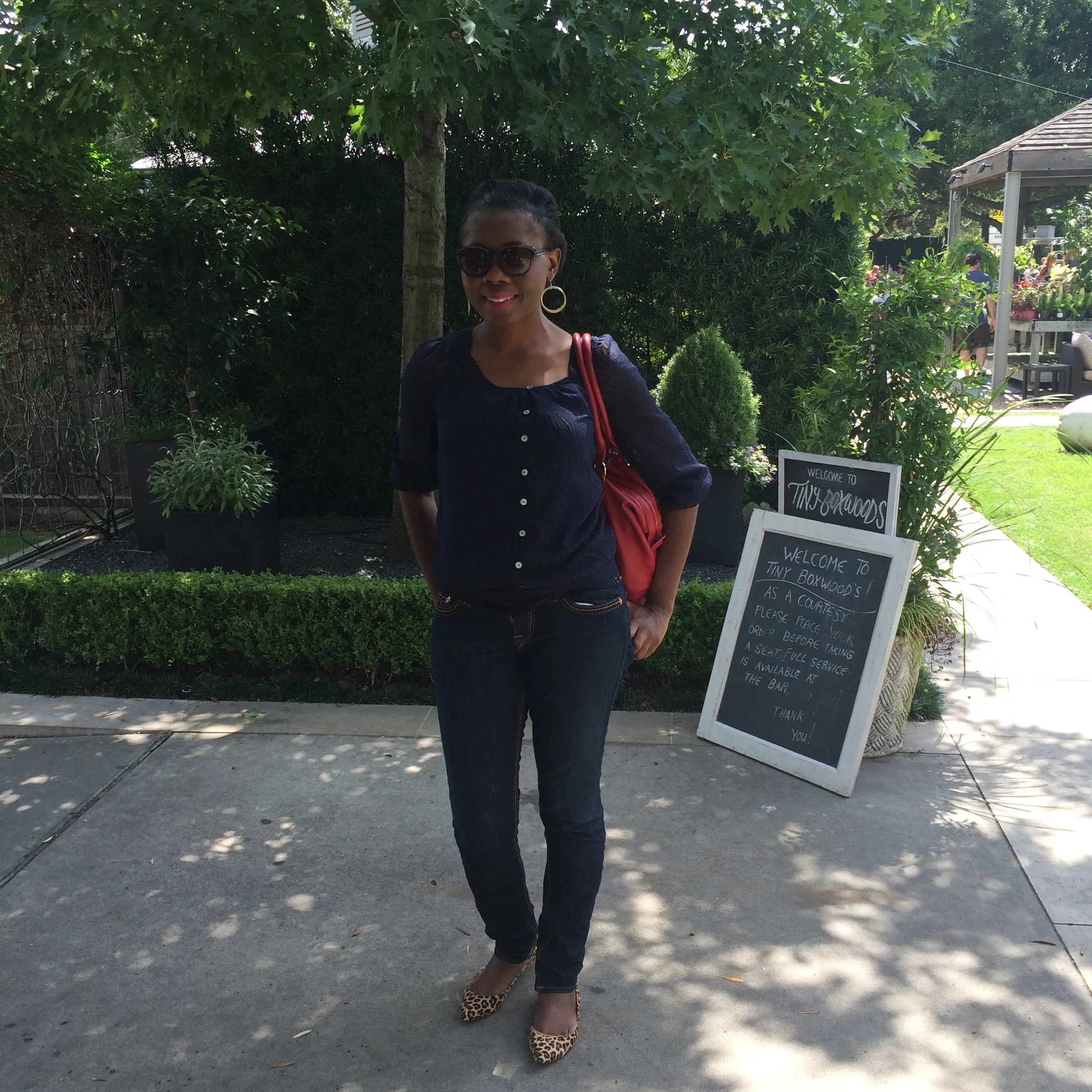 Tiny Boxwood - Houston