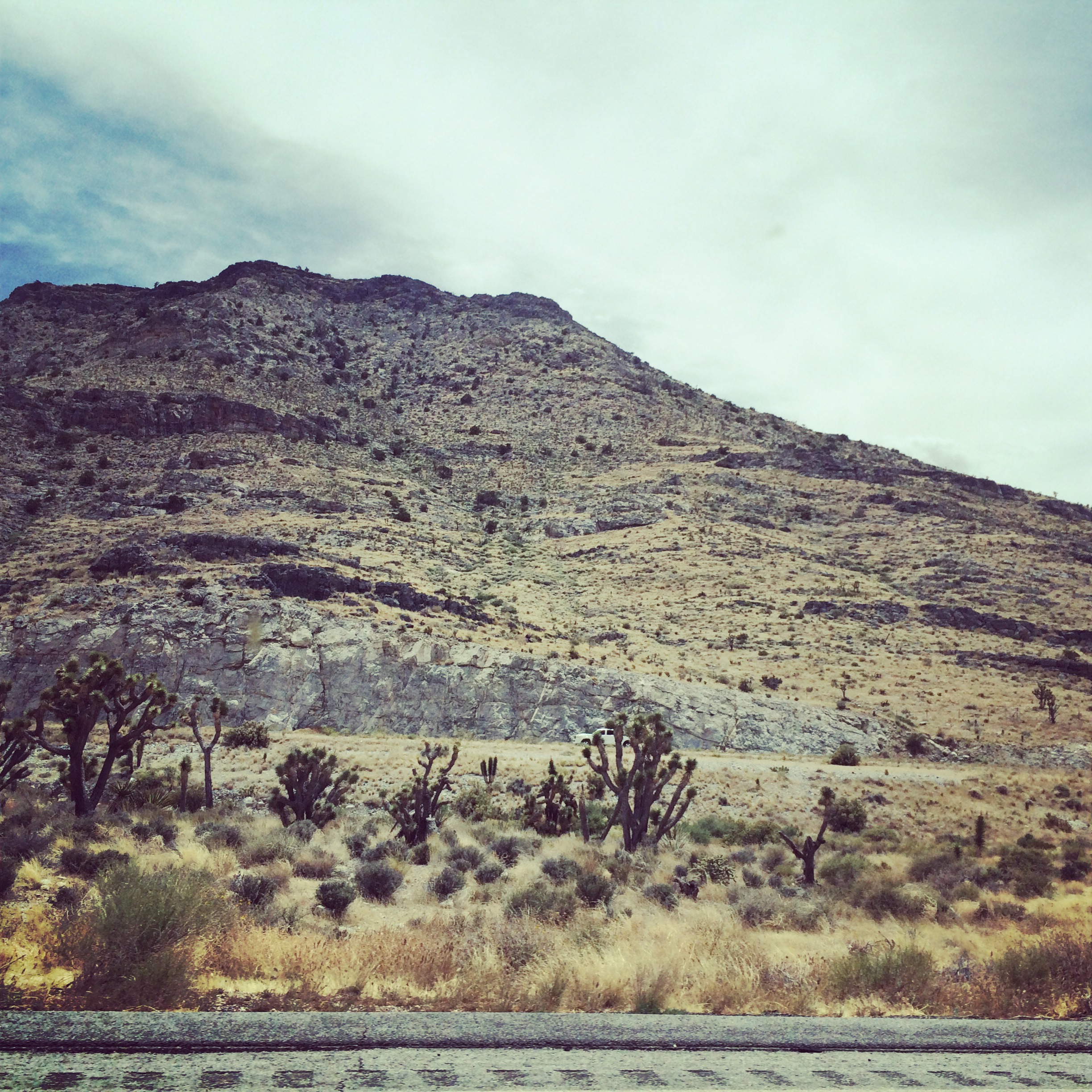 Las Vegas Photo Diary