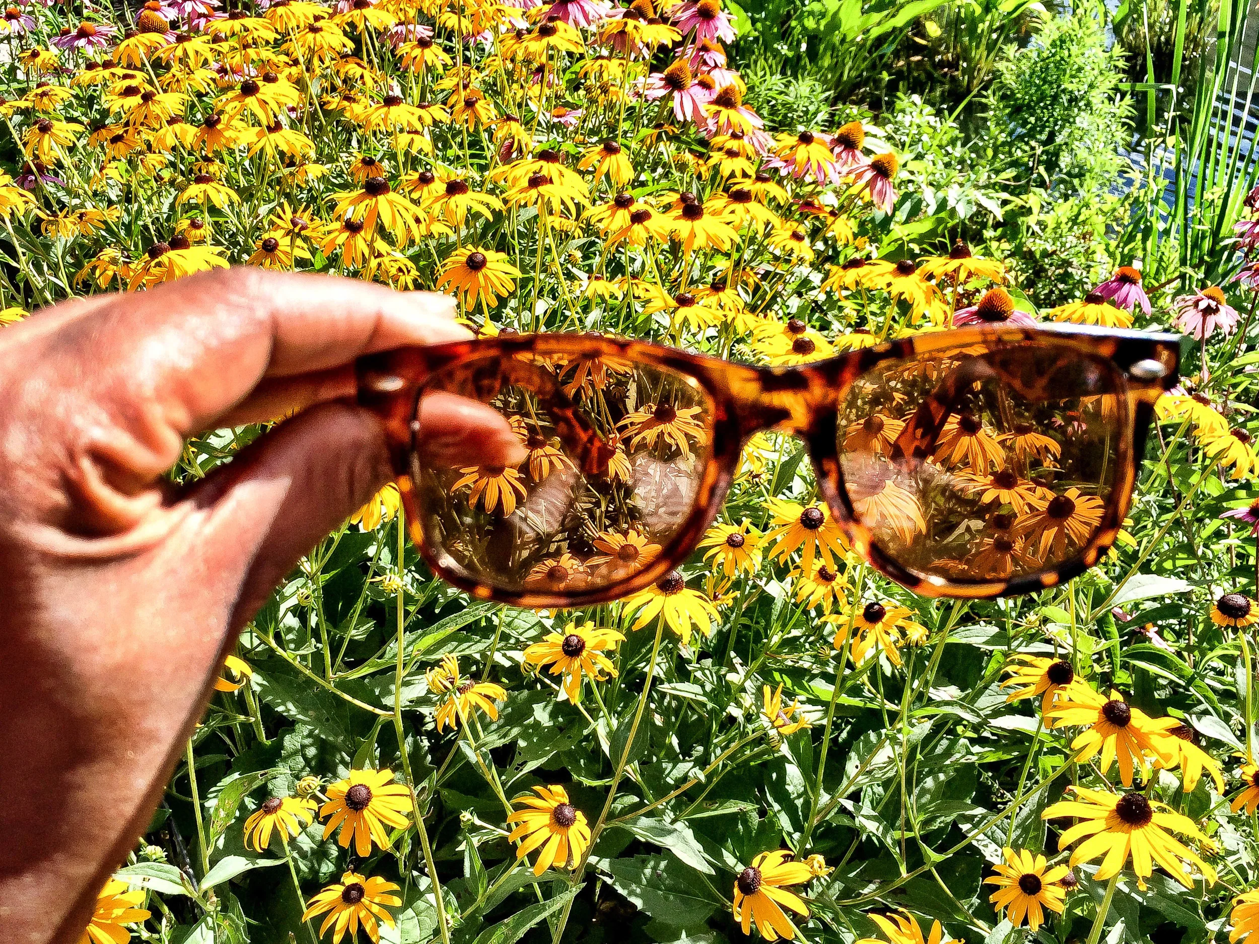 We are back with a new name and some news 