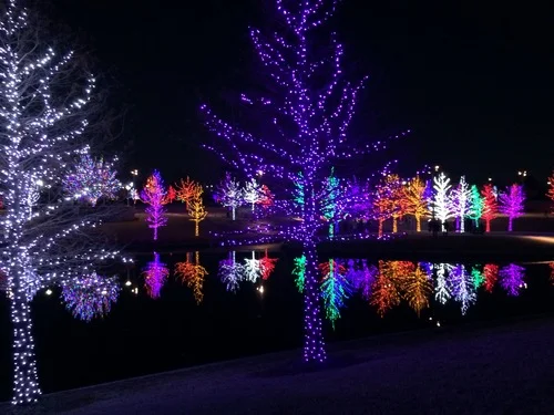 LIFE IN DECEMBER  + DINNER AT ZIZIKI'S