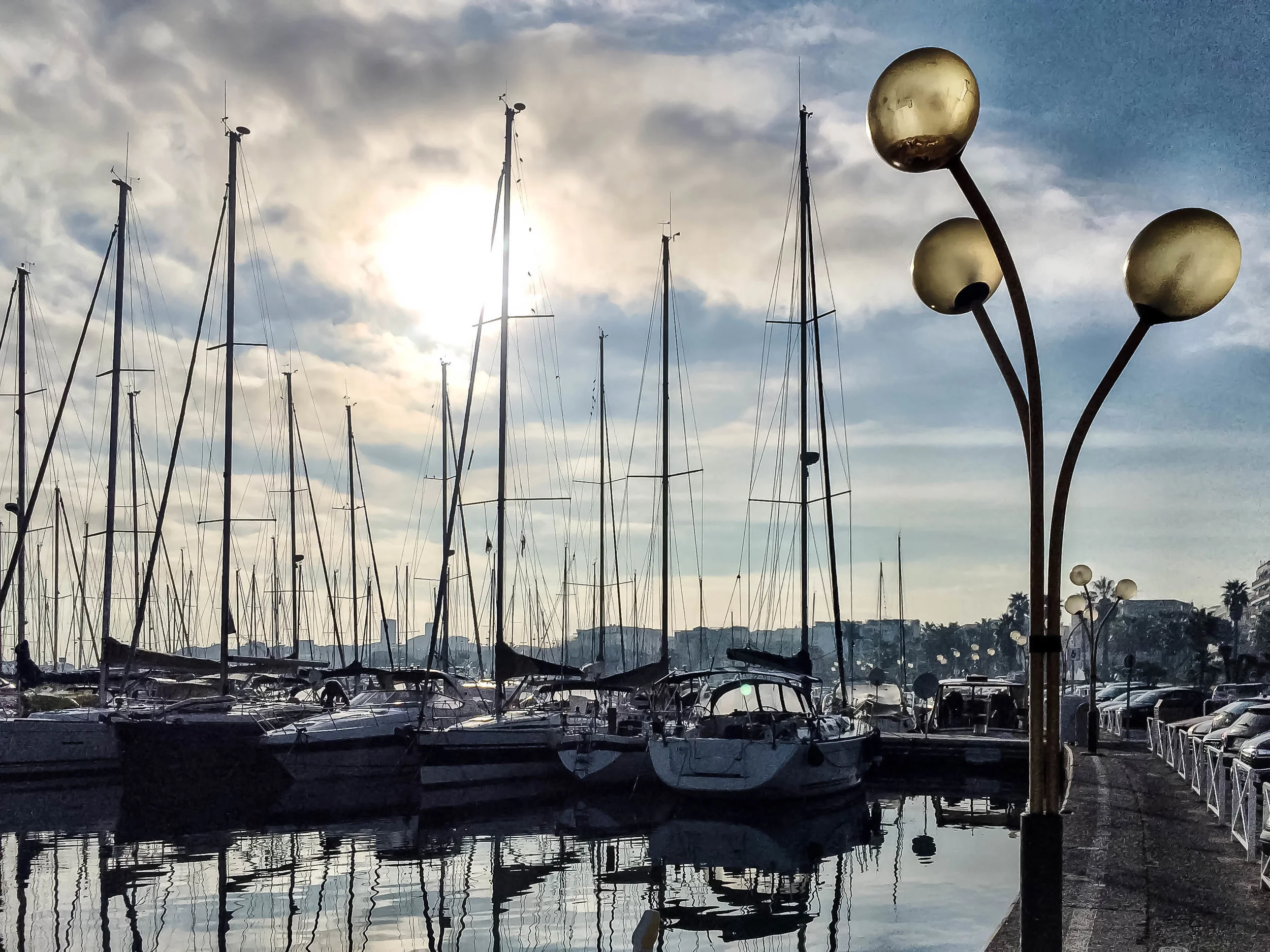 La Tulip & La Lumiere