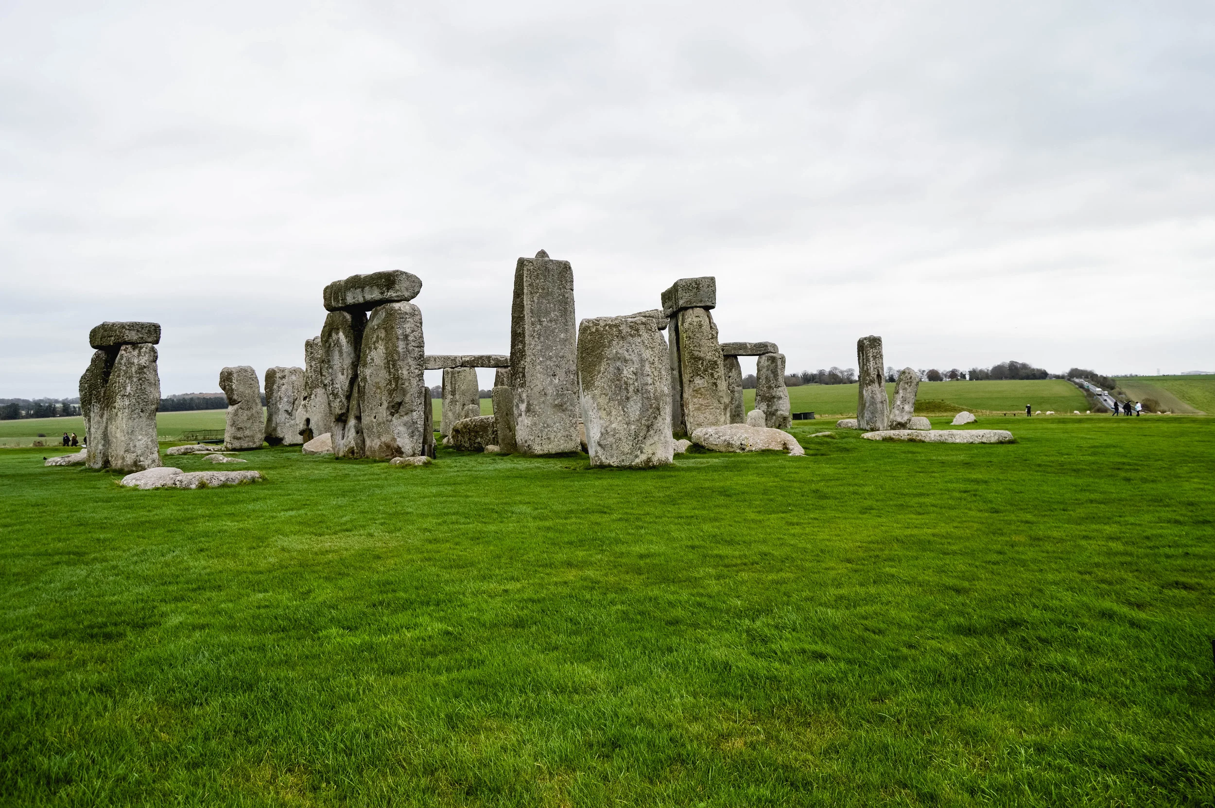 DSC_0090.jpg