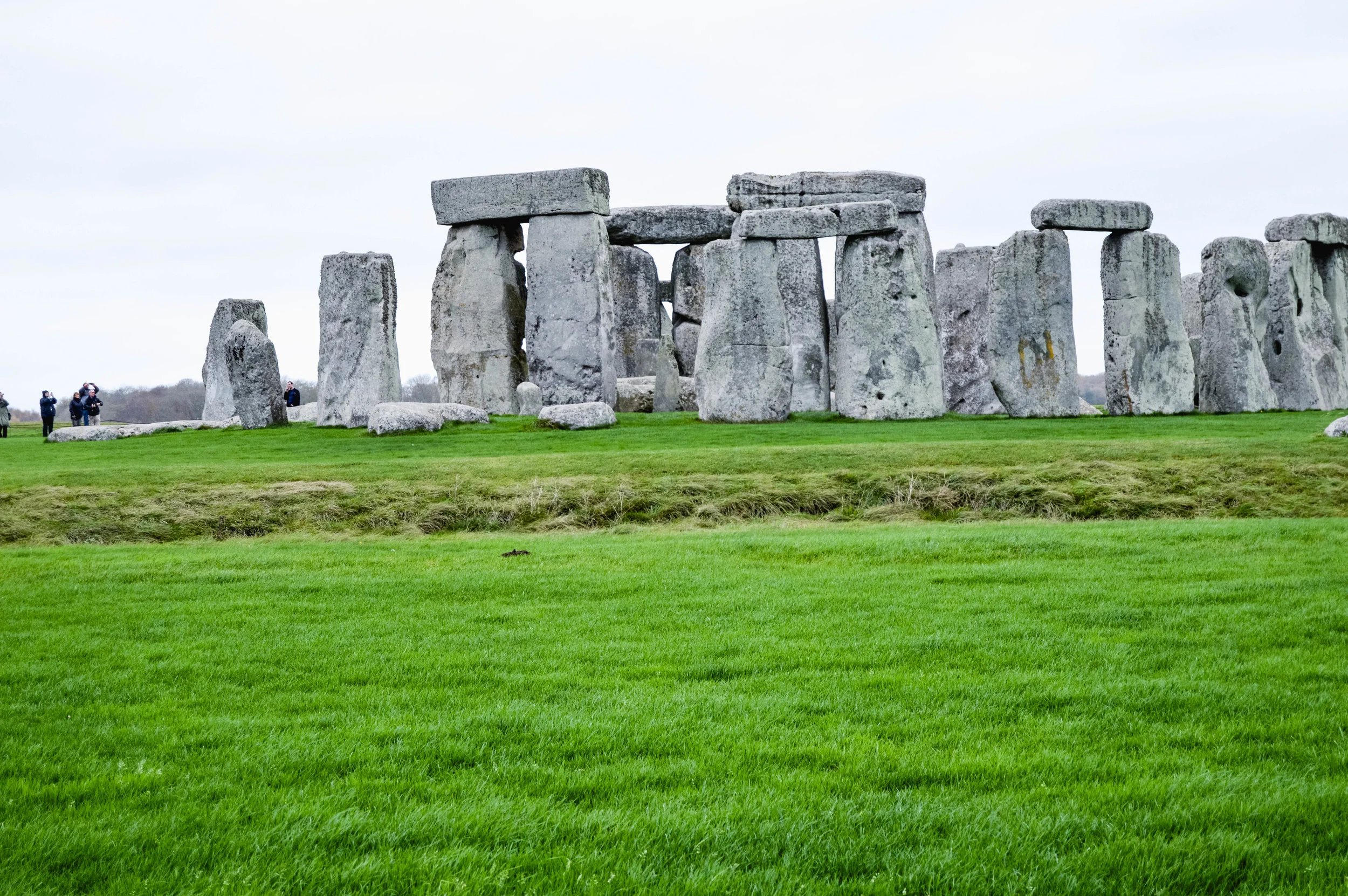 DSC_0104.jpg