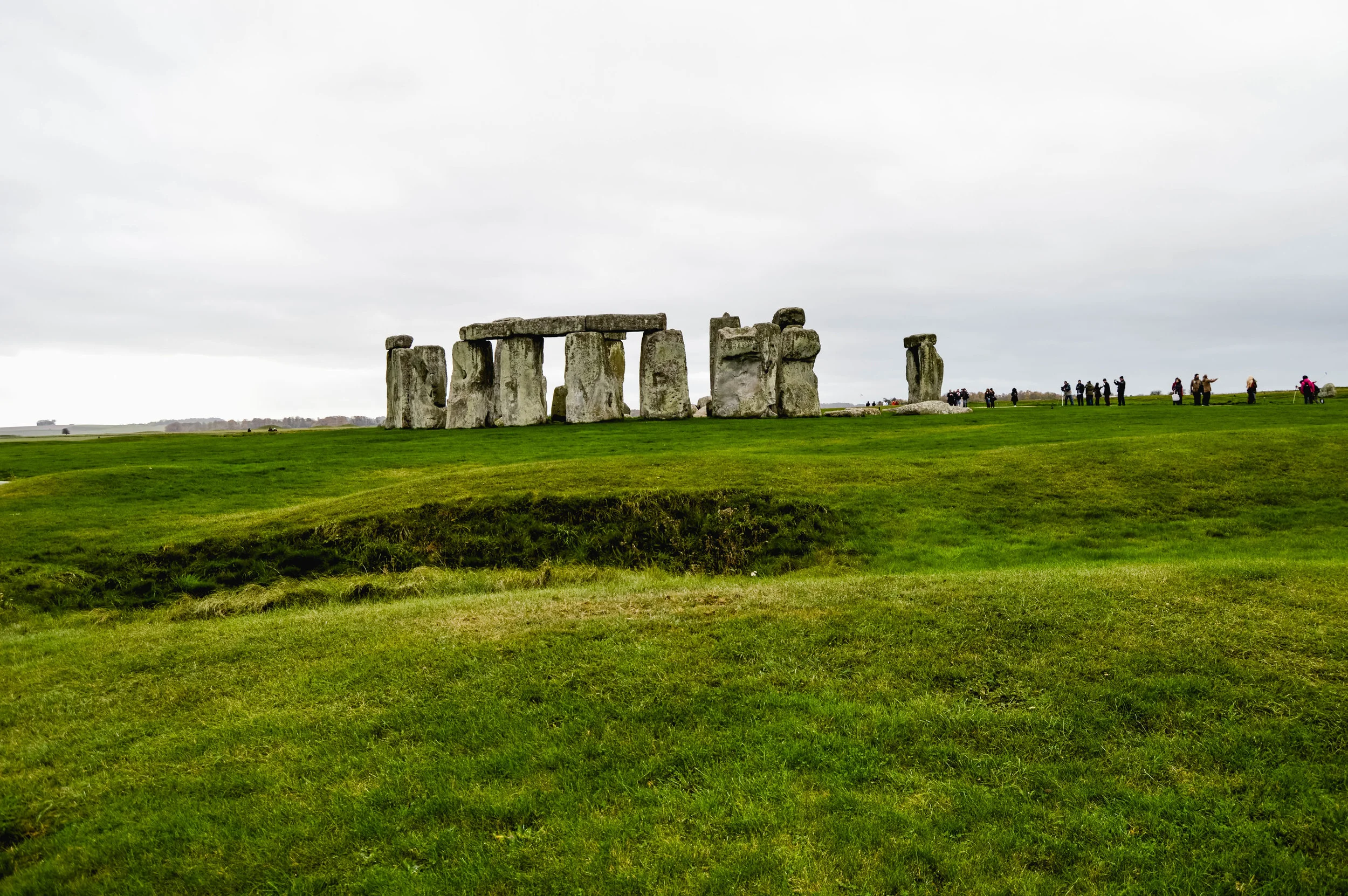 DSC_0111.jpg