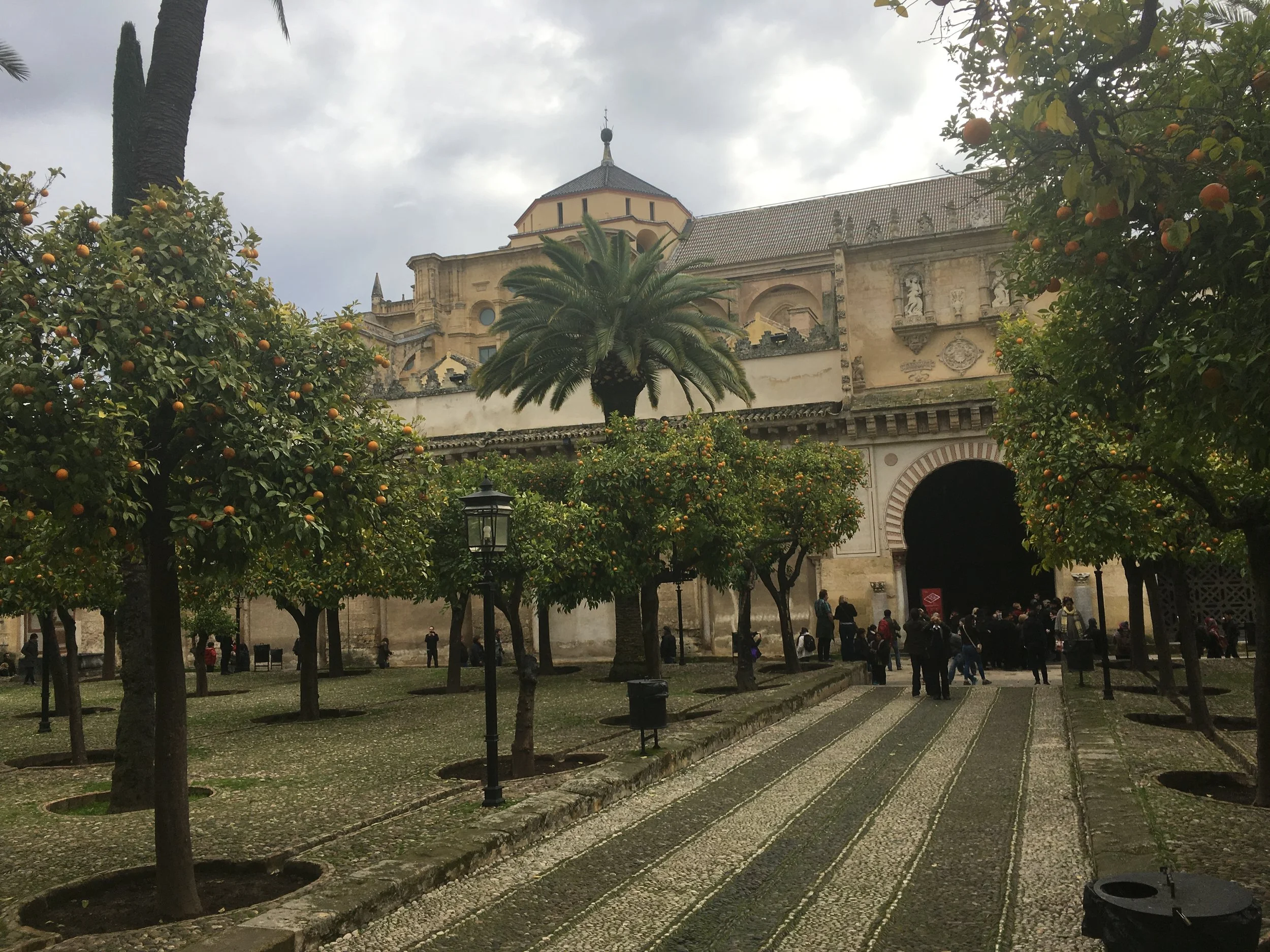 2016-12-18 11.32.20.jpg