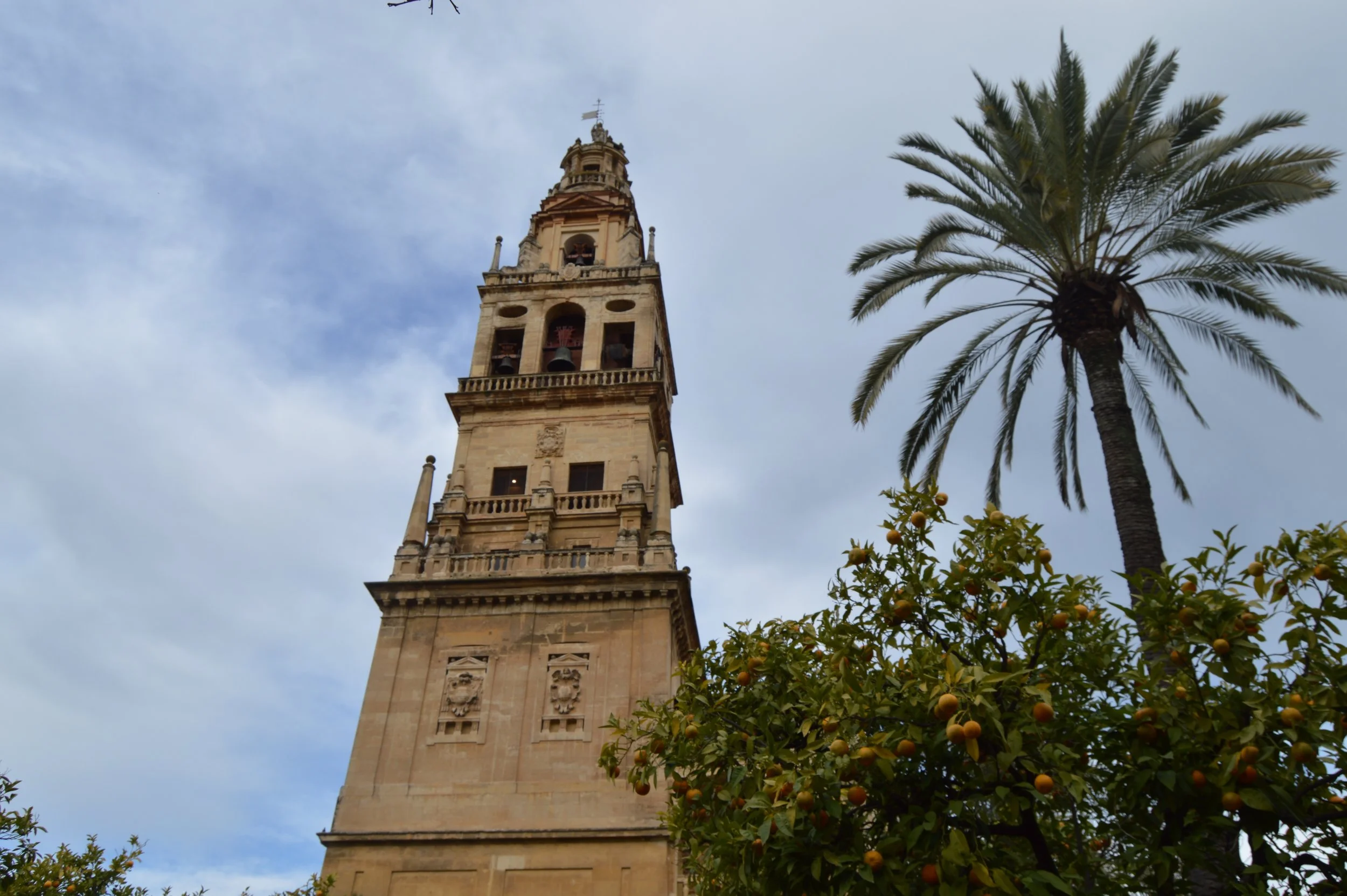 DSC_0537.jpg