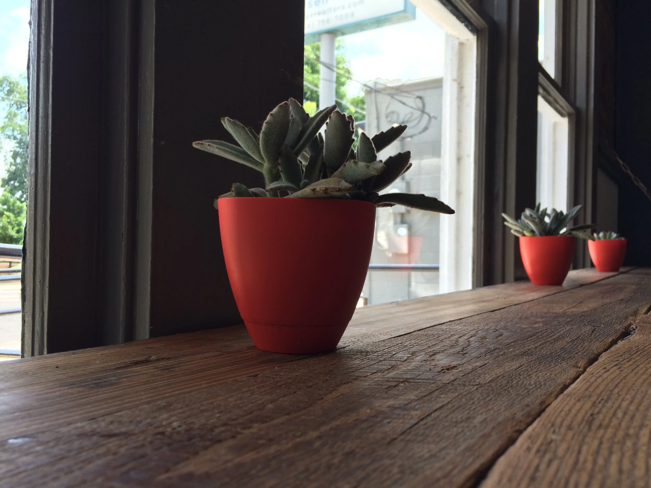 2016-06-19 12.39.13.jpg