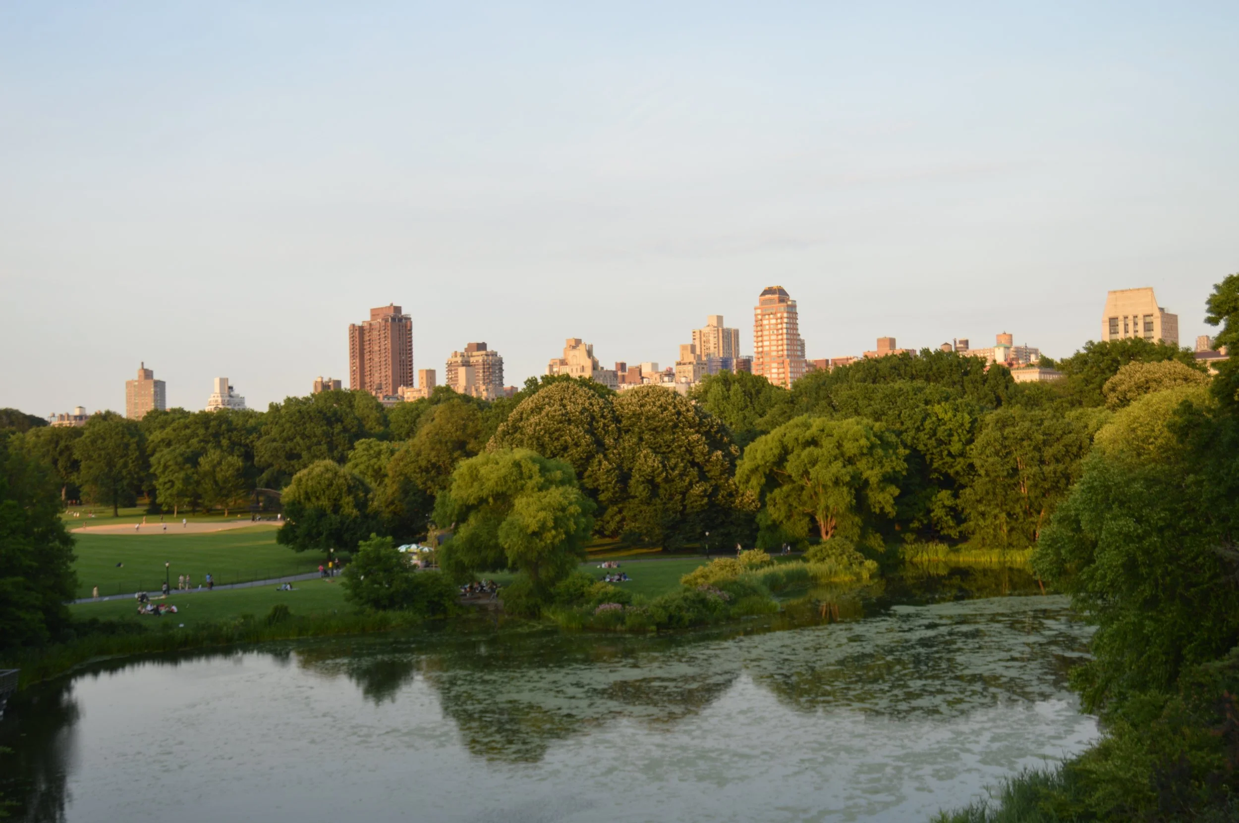 DSC_0970.jpg