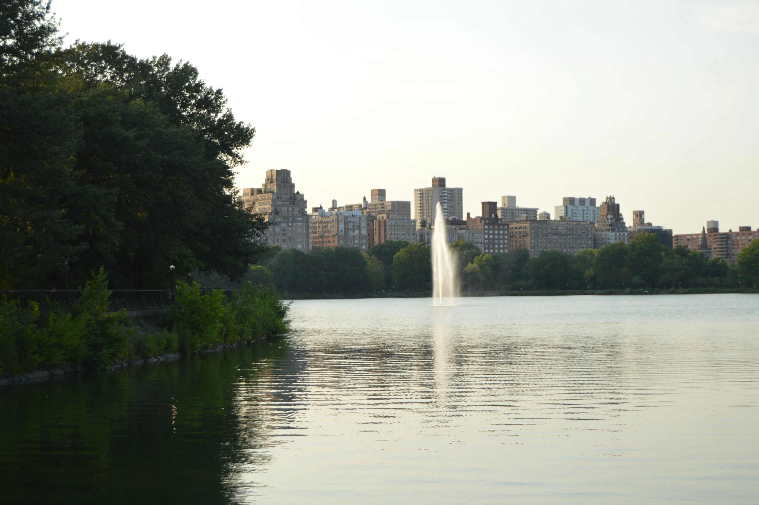 DSC_0962.jpg