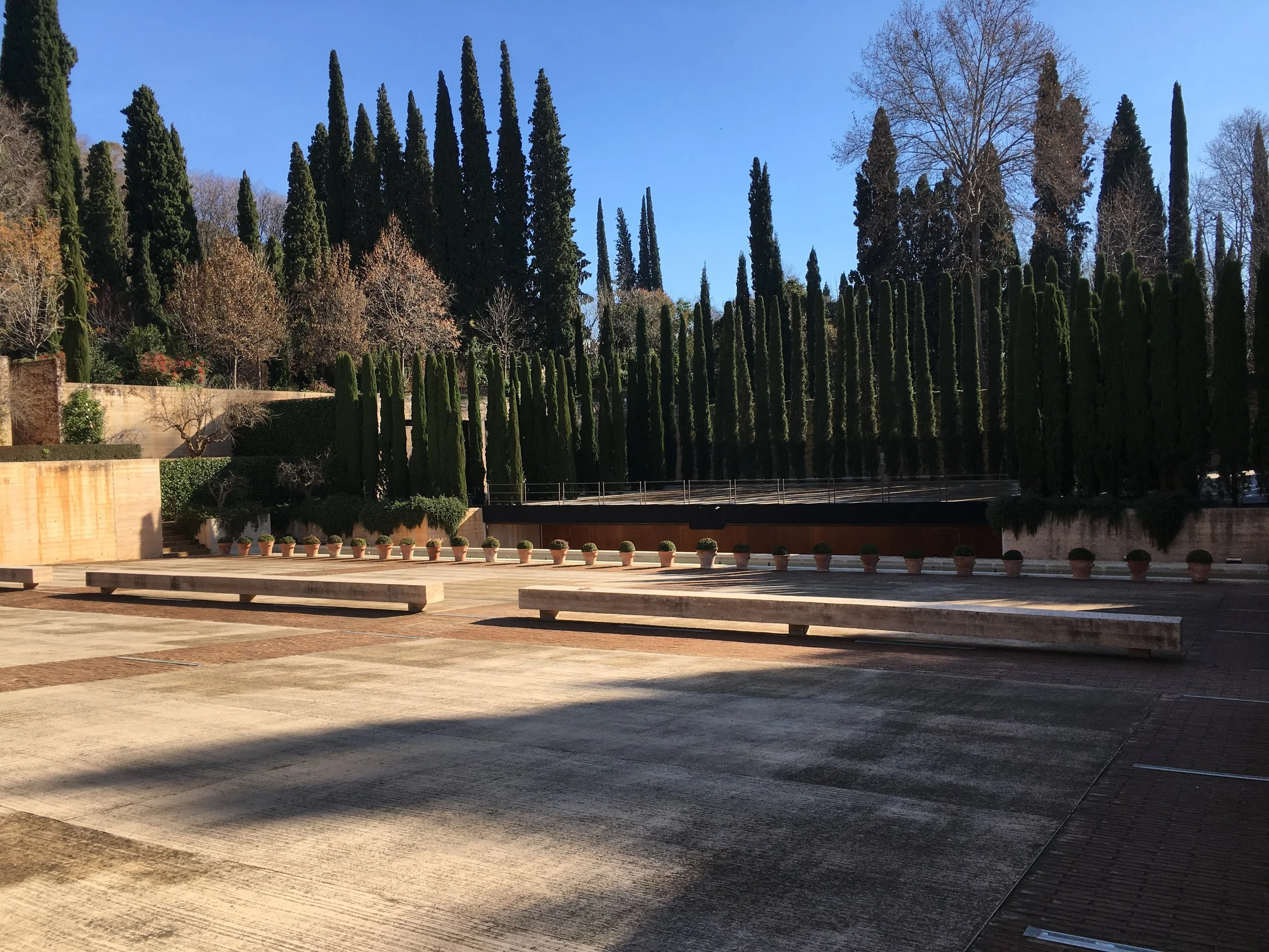 2016-12-20 13.57.13.jpg