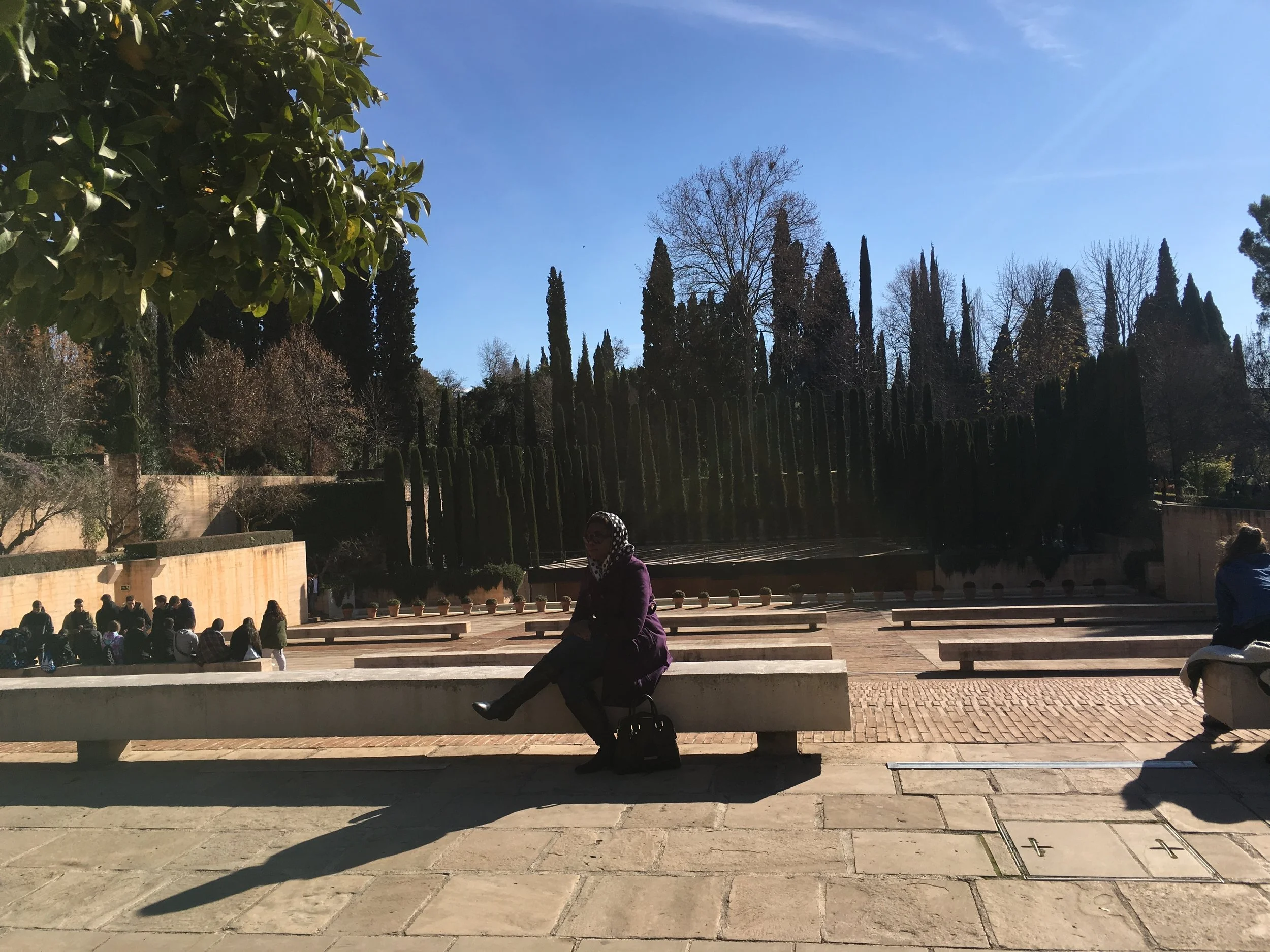 2016-12-20 13.58.56.jpg