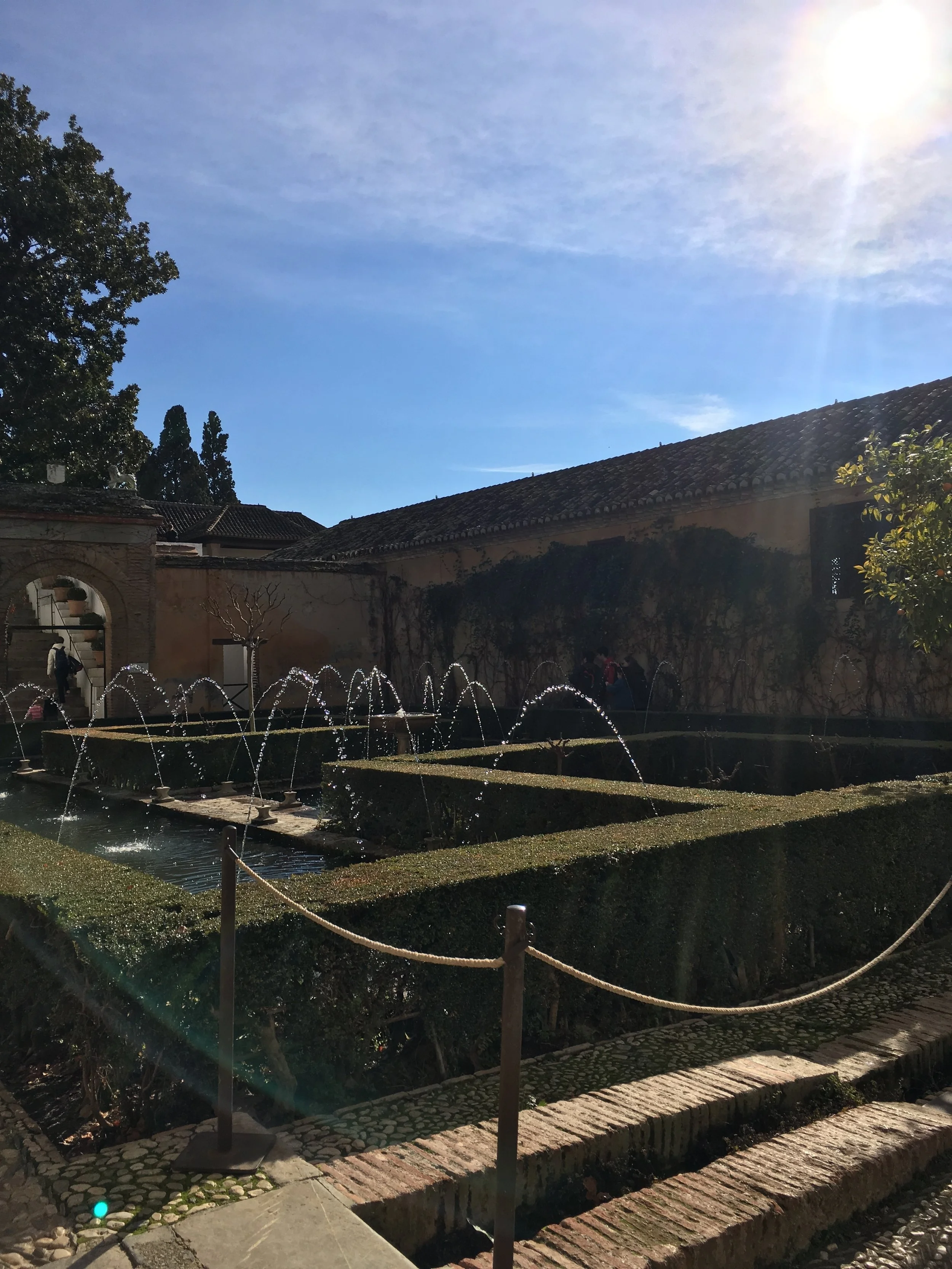 2016-12-20 14.29.10.jpg