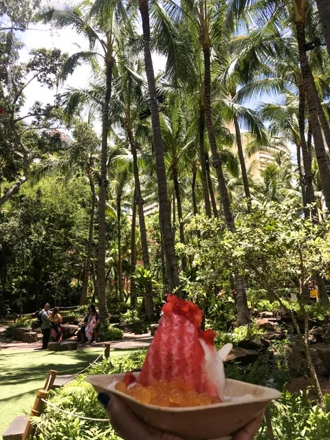 2017-06-26 12.56.21.jpg