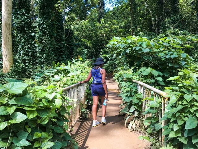 2017-06-24 10.13.18.jpg