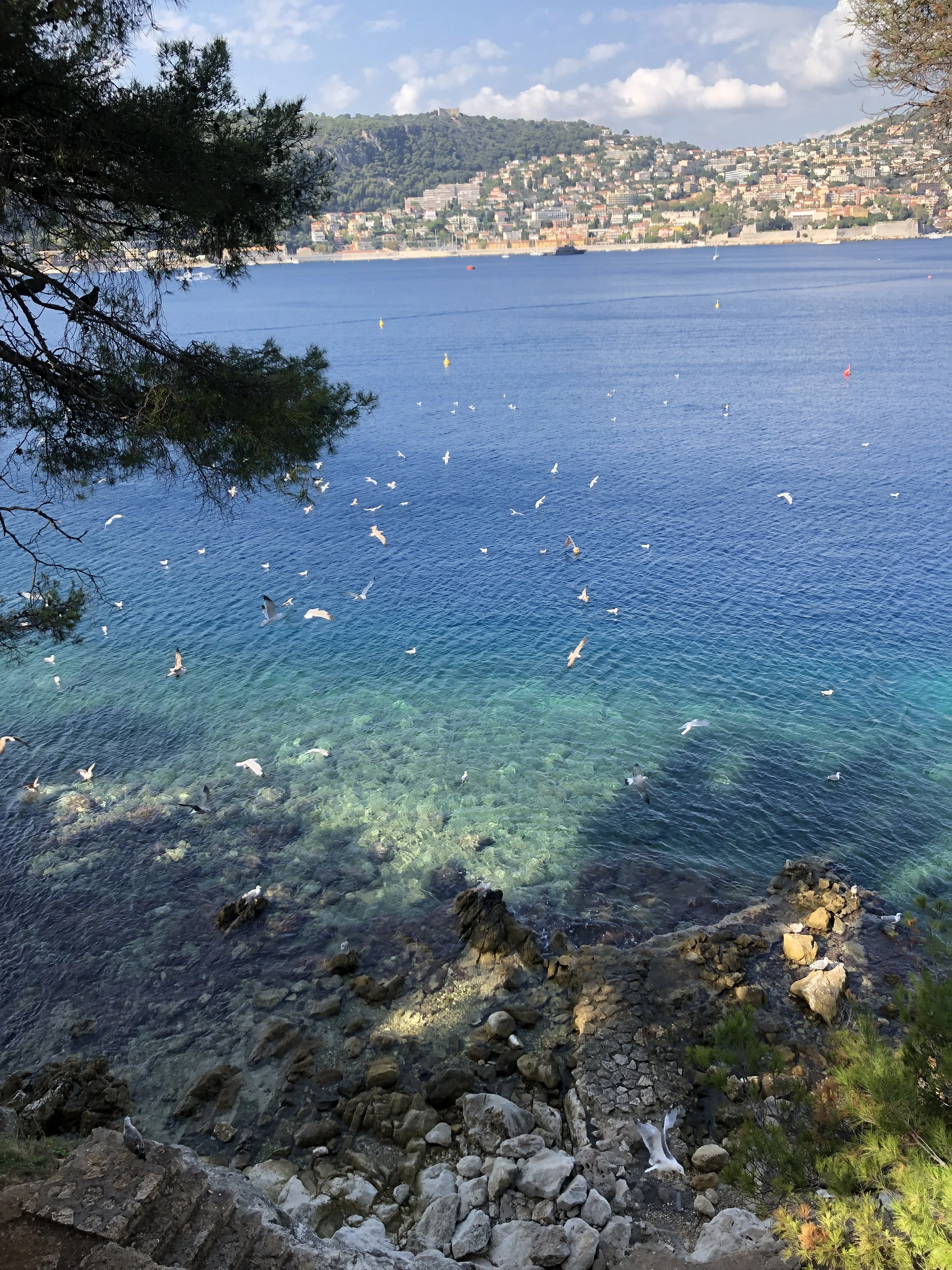 SAINT JEAN CAP FERRAT , FRANCE - WHY YOU SHOULD VISIT (IN PICTURES)