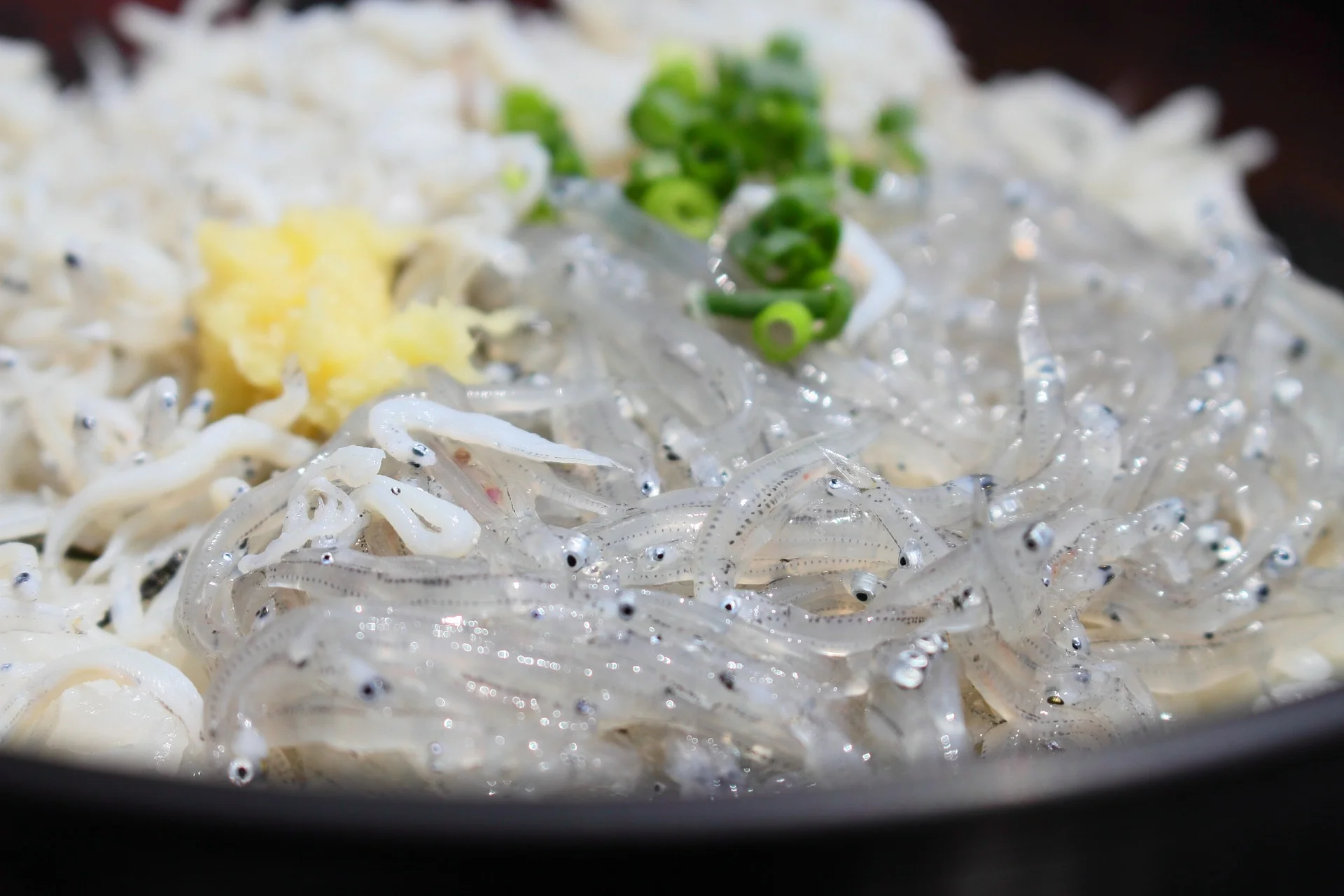 Sea Food & Eat It