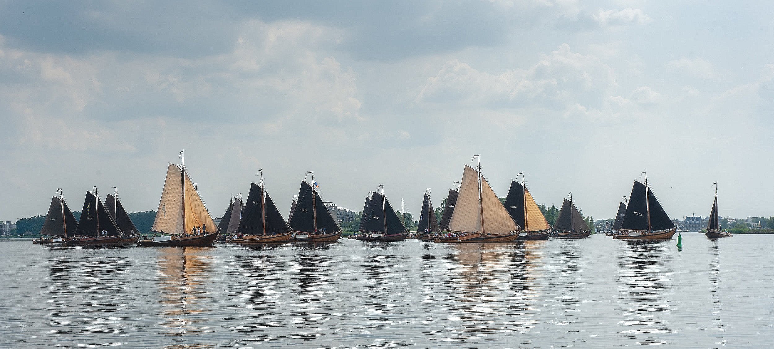 hvf18_DSC_2671.jpg
