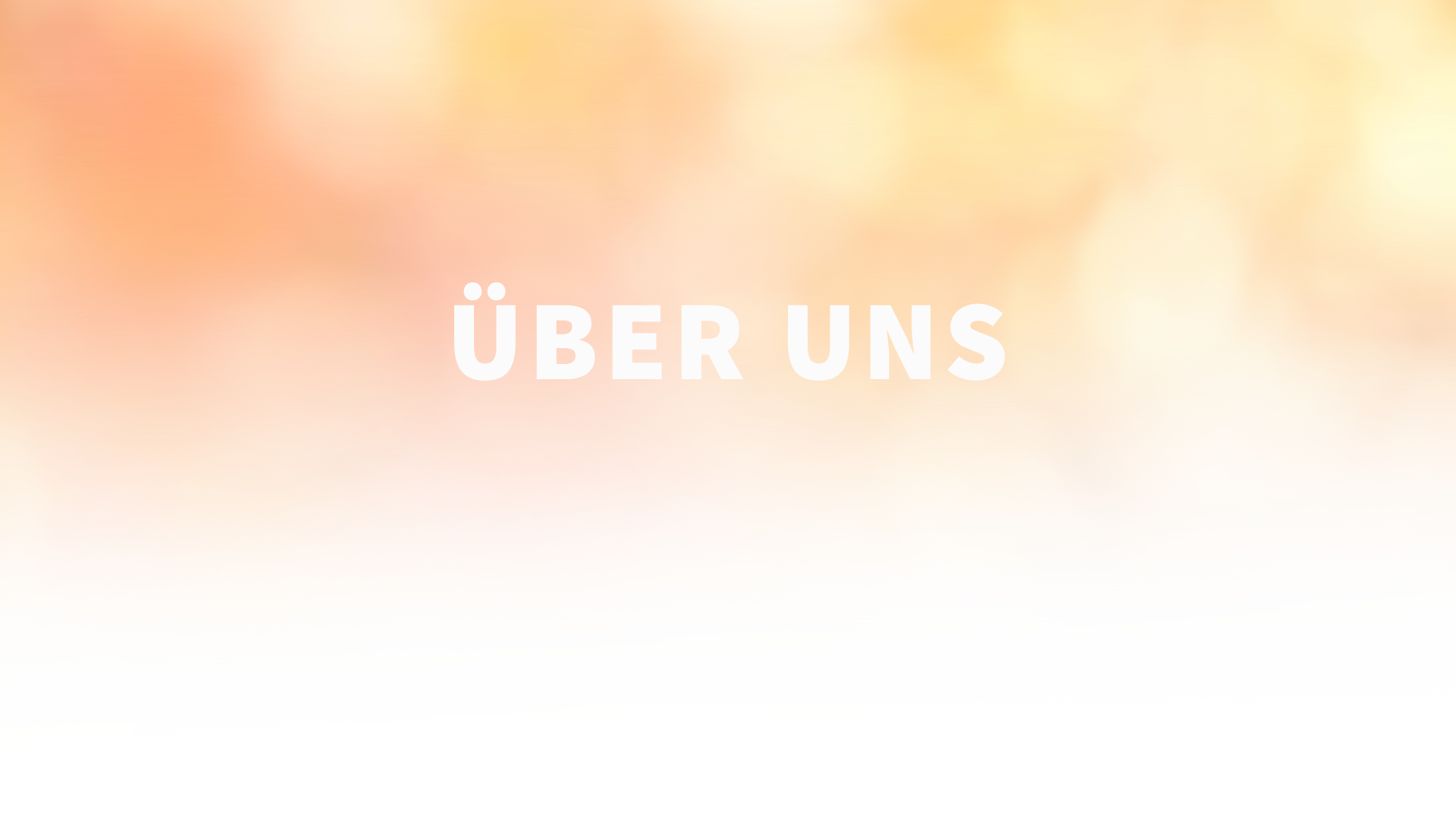 ÜBER UNS